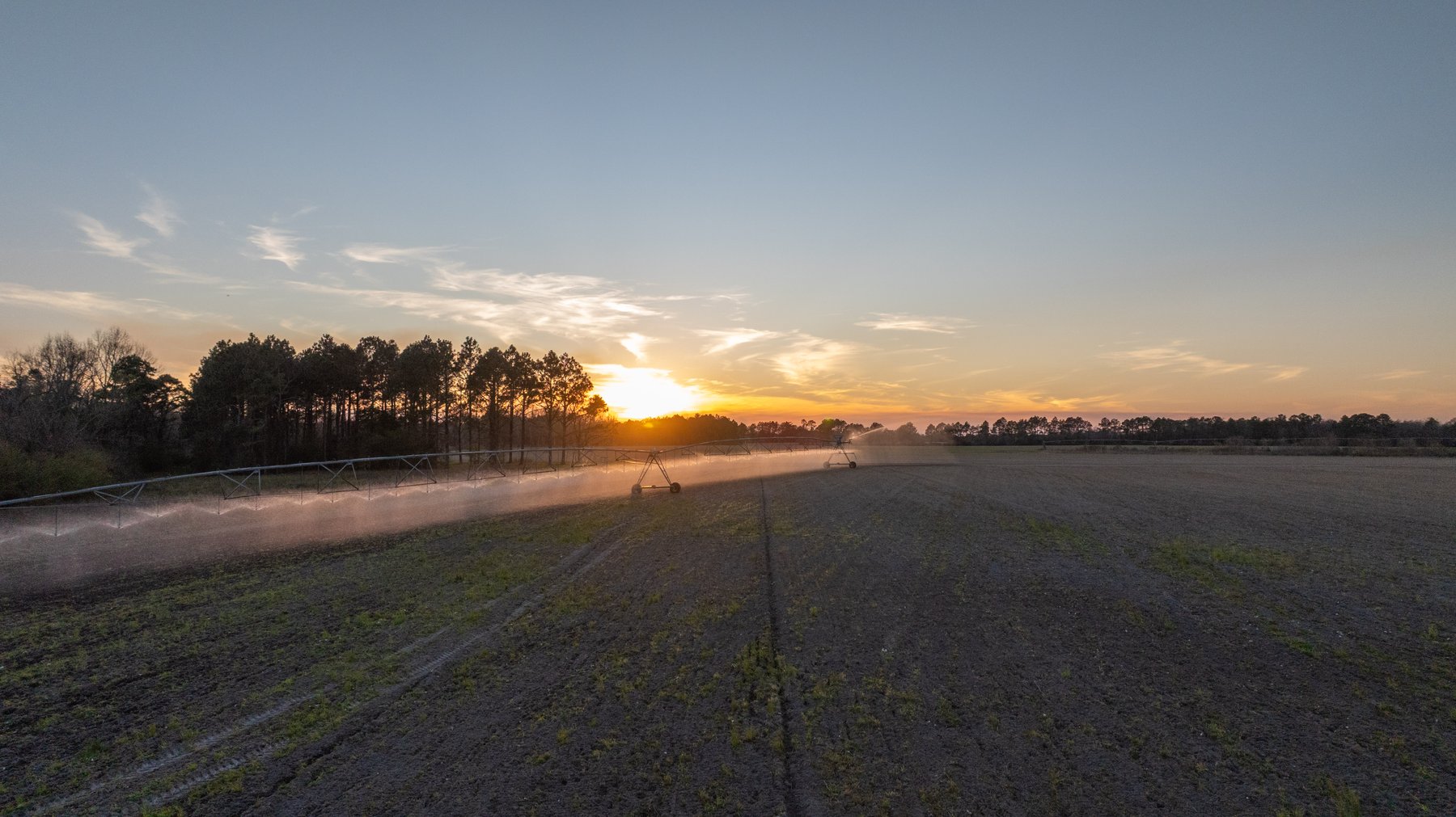 Image for 661+/- Acres - The Grass Farm - Highly Productive Irrigated Row Crop Farm - Ag & Recreational Investment Opportunity