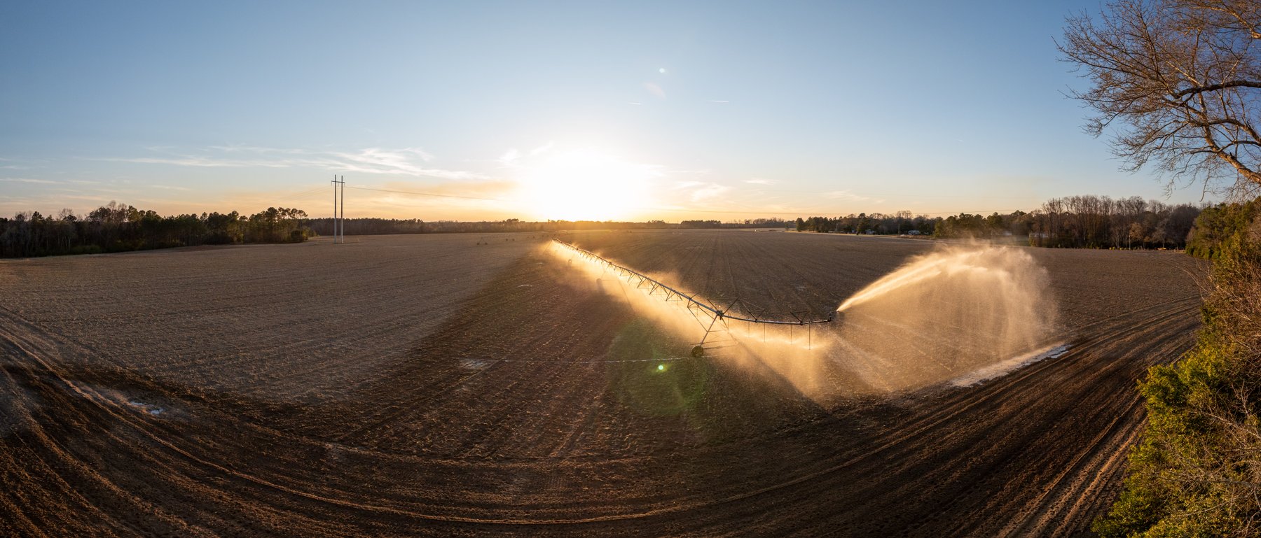 Image for 661+/- Acres - The Grass Farm - Highly Productive Irrigated Row Crop Farm - Ag & Recreational Investment Opportunity