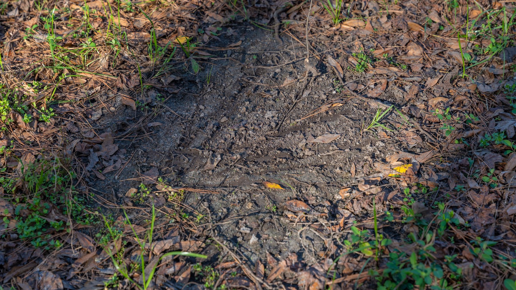 Image for 661+/- Acres - The Grass Farm - Highly Productive Irrigated Row Crop Farm - Ag & Recreational Investment Opportunity