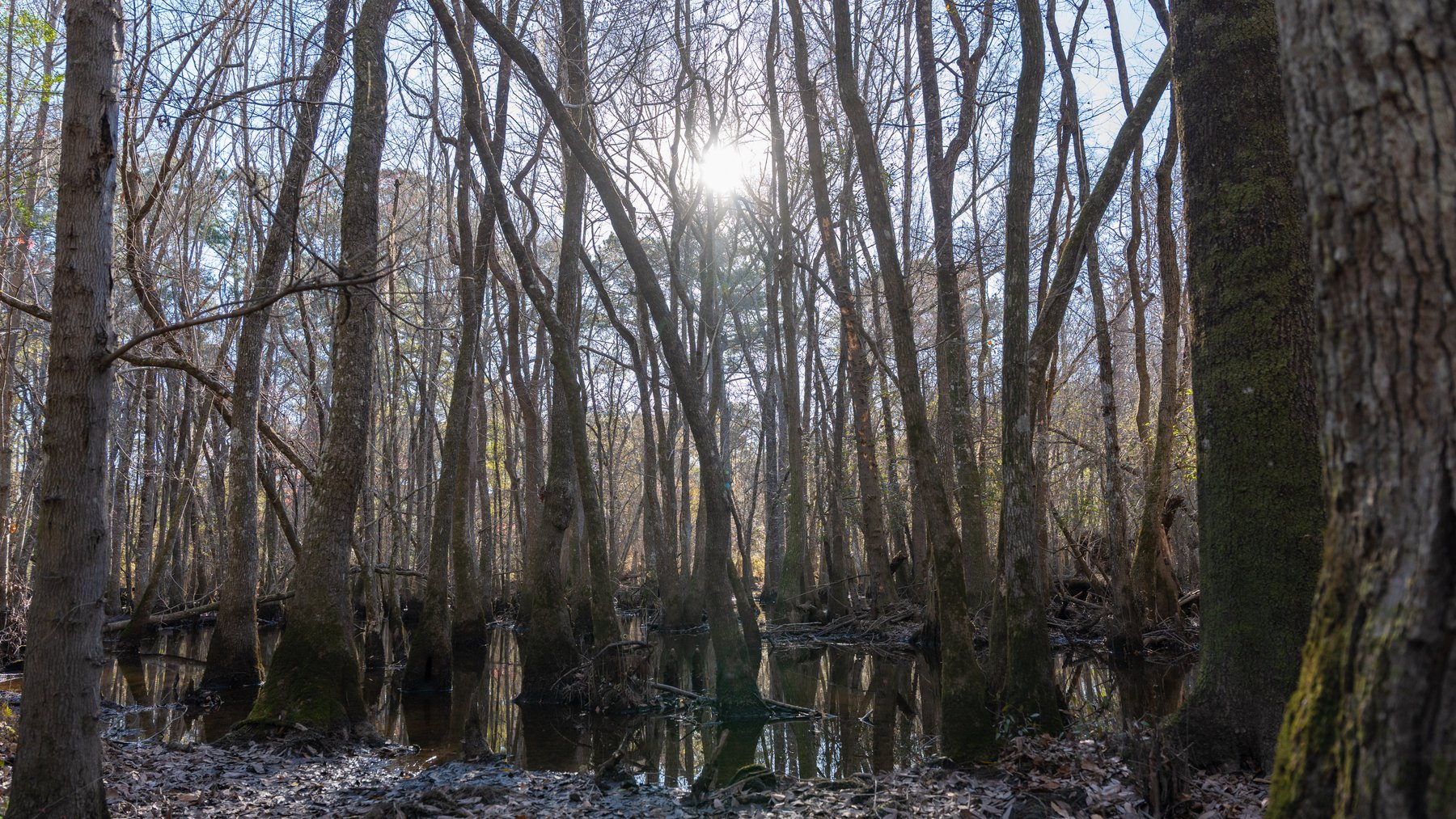 Image for 661+/- Acres - The Grass Farm - Highly Productive Irrigated Row Crop Farm - Ag & Recreational Investment Opportunity