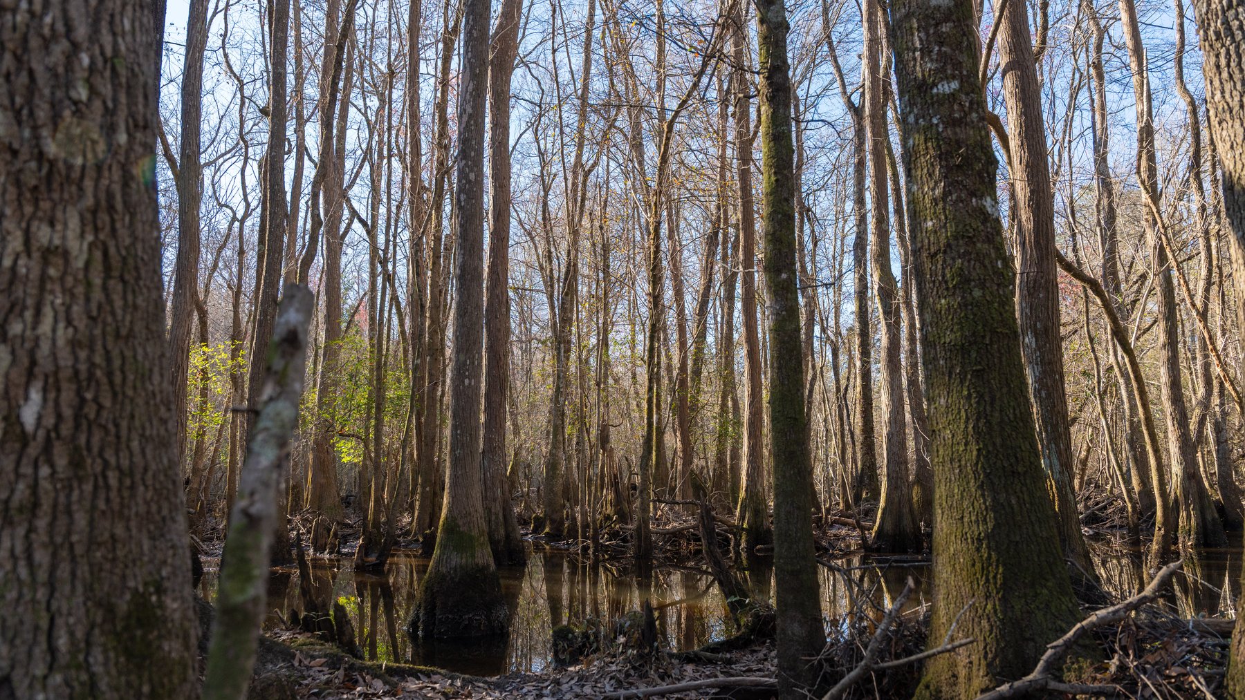 Image for 661+/- Acres - The Grass Farm - Highly Productive Irrigated Row Crop Farm - Ag & Recreational Investment Opportunity