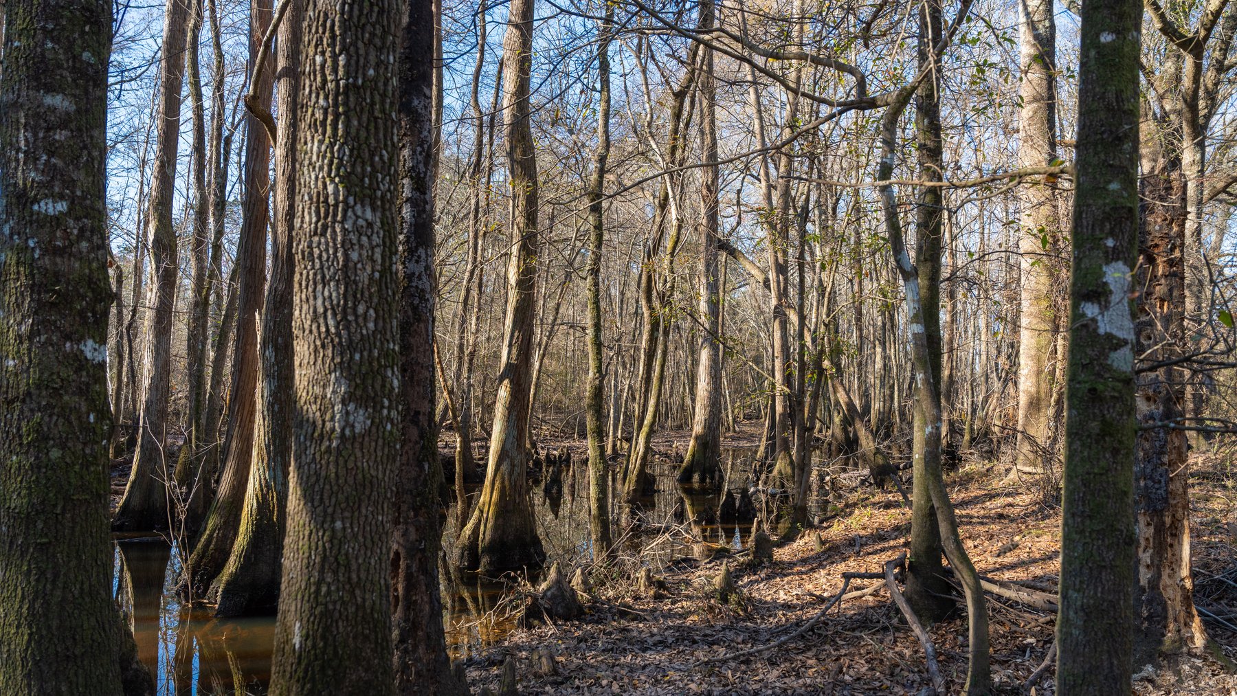 Image for 661+/- Acres - The Grass Farm - Highly Productive Irrigated Row Crop Farm - Ag & Recreational Investment Opportunity