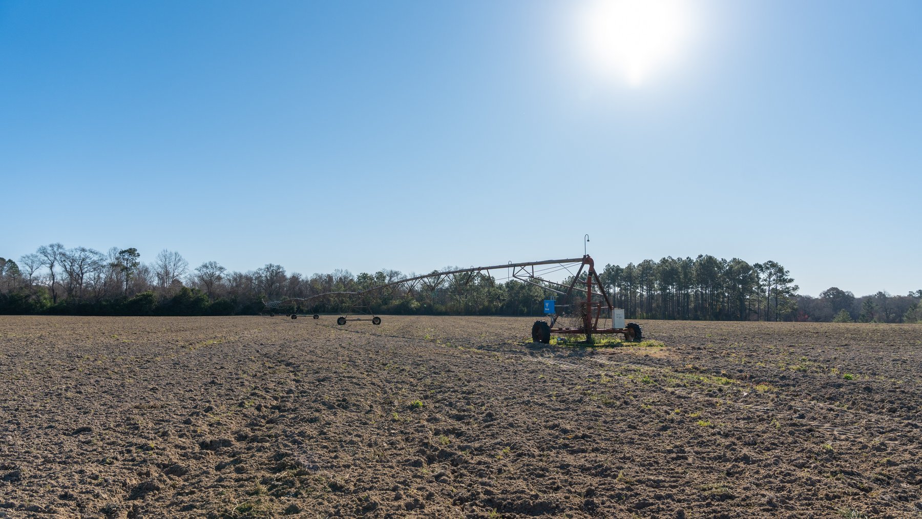 Image for 661+/- Acres - The Grass Farm - Highly Productive Irrigated Row Crop Farm - Ag & Recreational Investment Opportunity