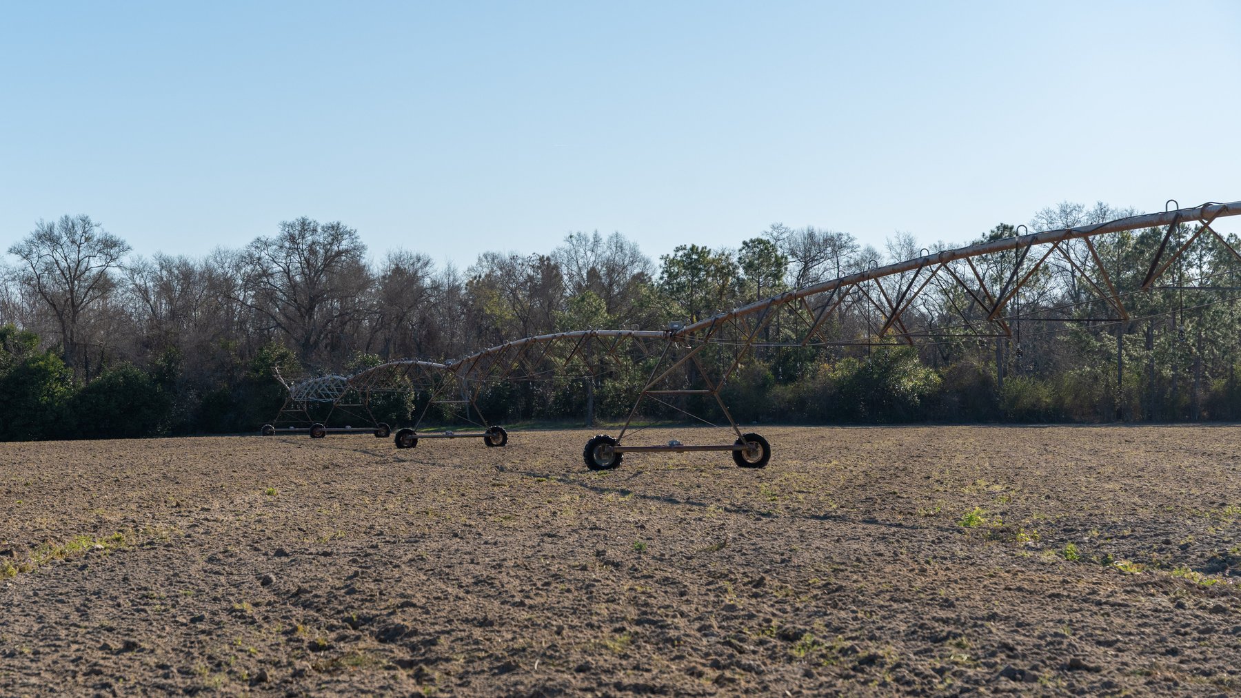 Image for 661+/- Acres - The Grass Farm - Highly Productive Irrigated Row Crop Farm - Ag & Recreational Investment Opportunity