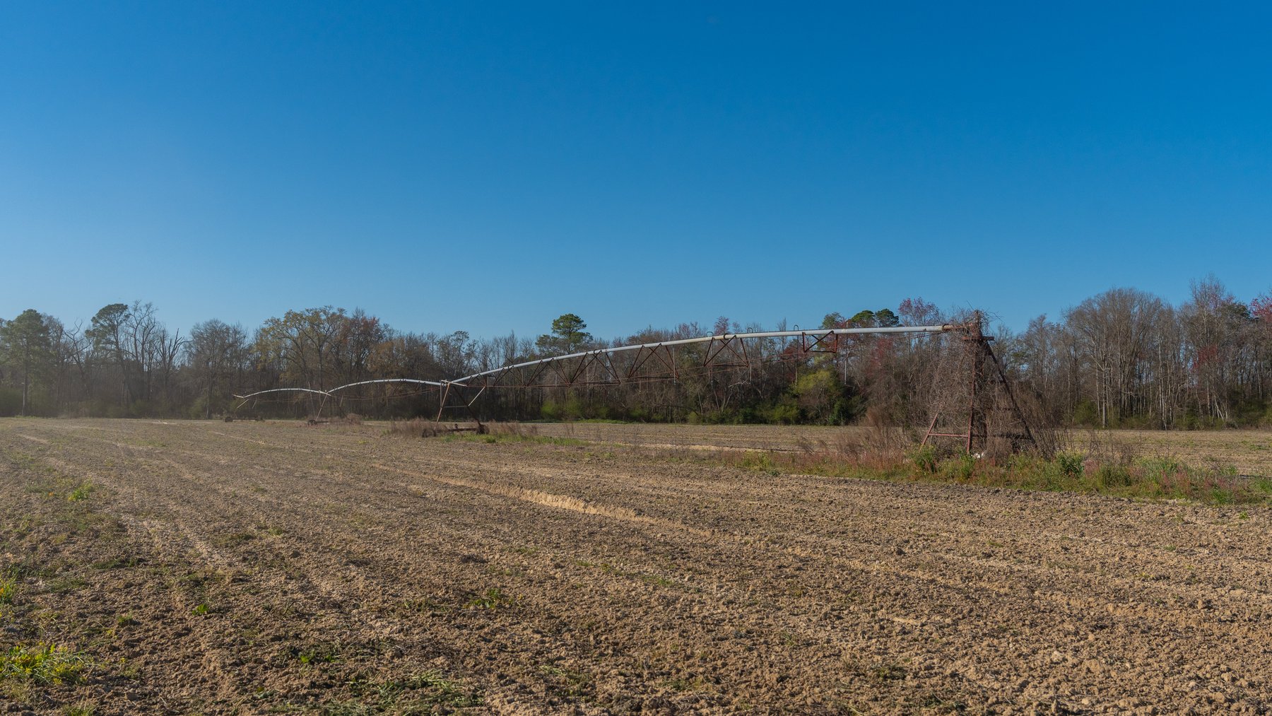 Image for 661+/- Acres - The Grass Farm - Highly Productive Irrigated Row Crop Farm - Ag & Recreational Investment Opportunity