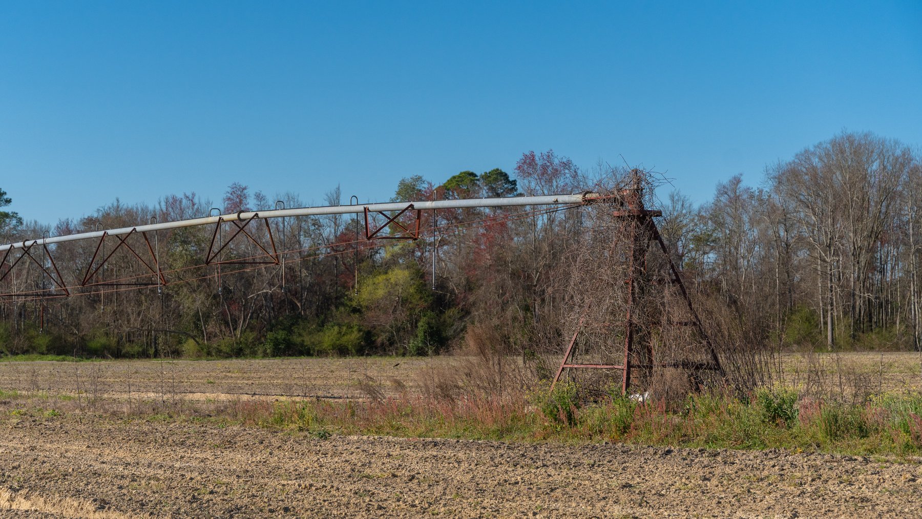 Image for 661+/- Acres - The Grass Farm - Highly Productive Irrigated Row Crop Farm - Ag & Recreational Investment Opportunity