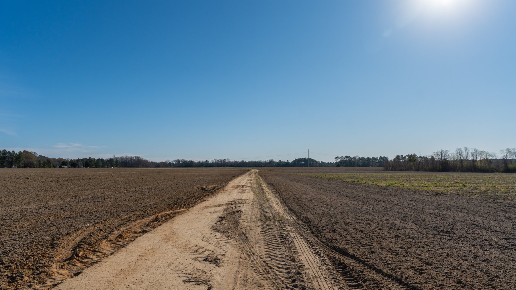 Image for 661+/- Acres - The Grass Farm - Highly Productive Irrigated Row Crop Farm - Ag & Recreational Investment Opportunity