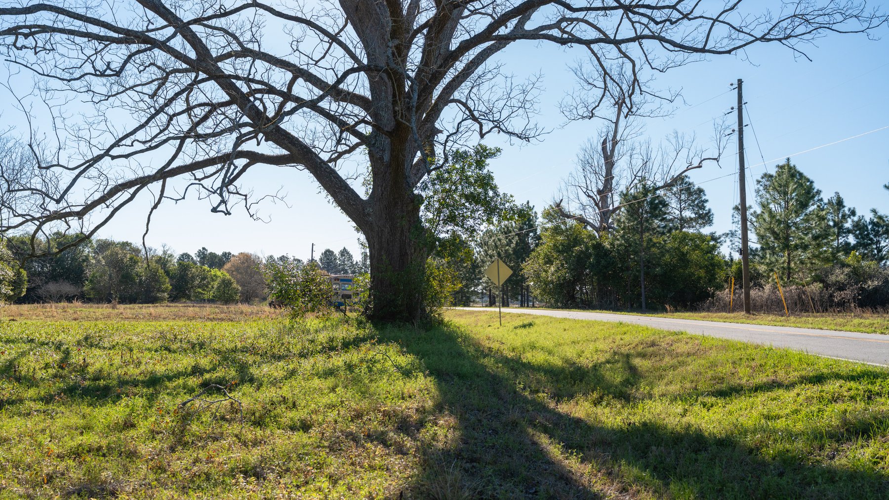 Image for 661+/- Acres - The Grass Farm - Highly Productive Irrigated Row Crop Farm - Ag & Recreational Investment Opportunity