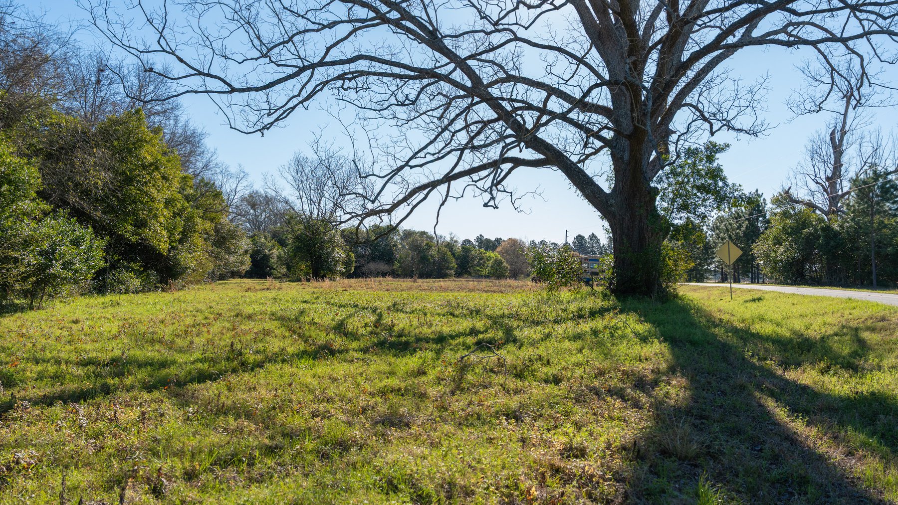 Image for 661+/- Acres - The Grass Farm - Highly Productive Irrigated Row Crop Farm - Ag & Recreational Investment Opportunity
