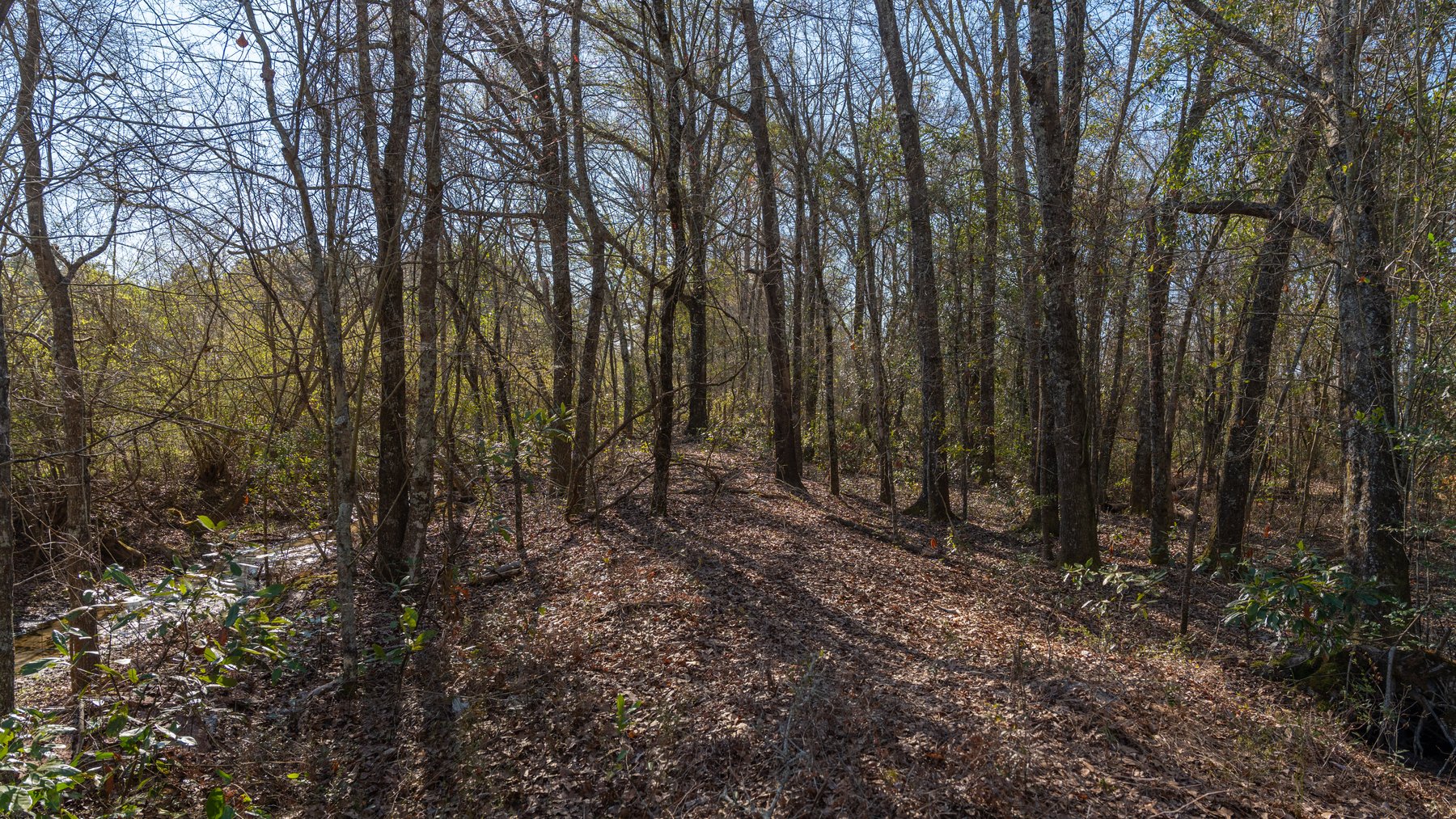 Image for 661+/- Acres - The Grass Farm - Highly Productive Irrigated Row Crop Farm - Ag & Recreational Investment Opportunity