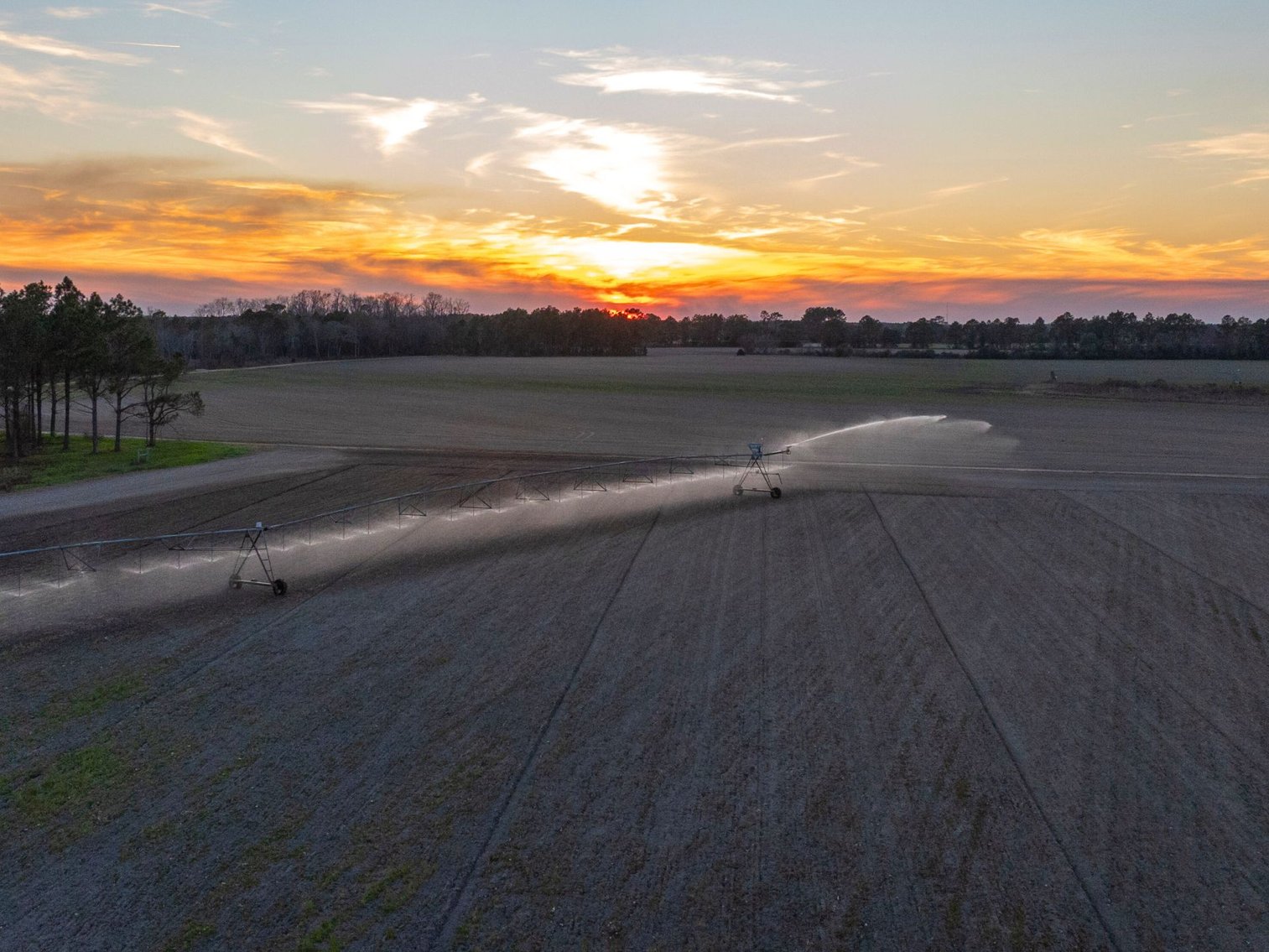 Image for 661+/- Acres - The Grass Farm - Highly Productive Irrigated Row Crop Farm - Ag & Recreational Investment Opportunity