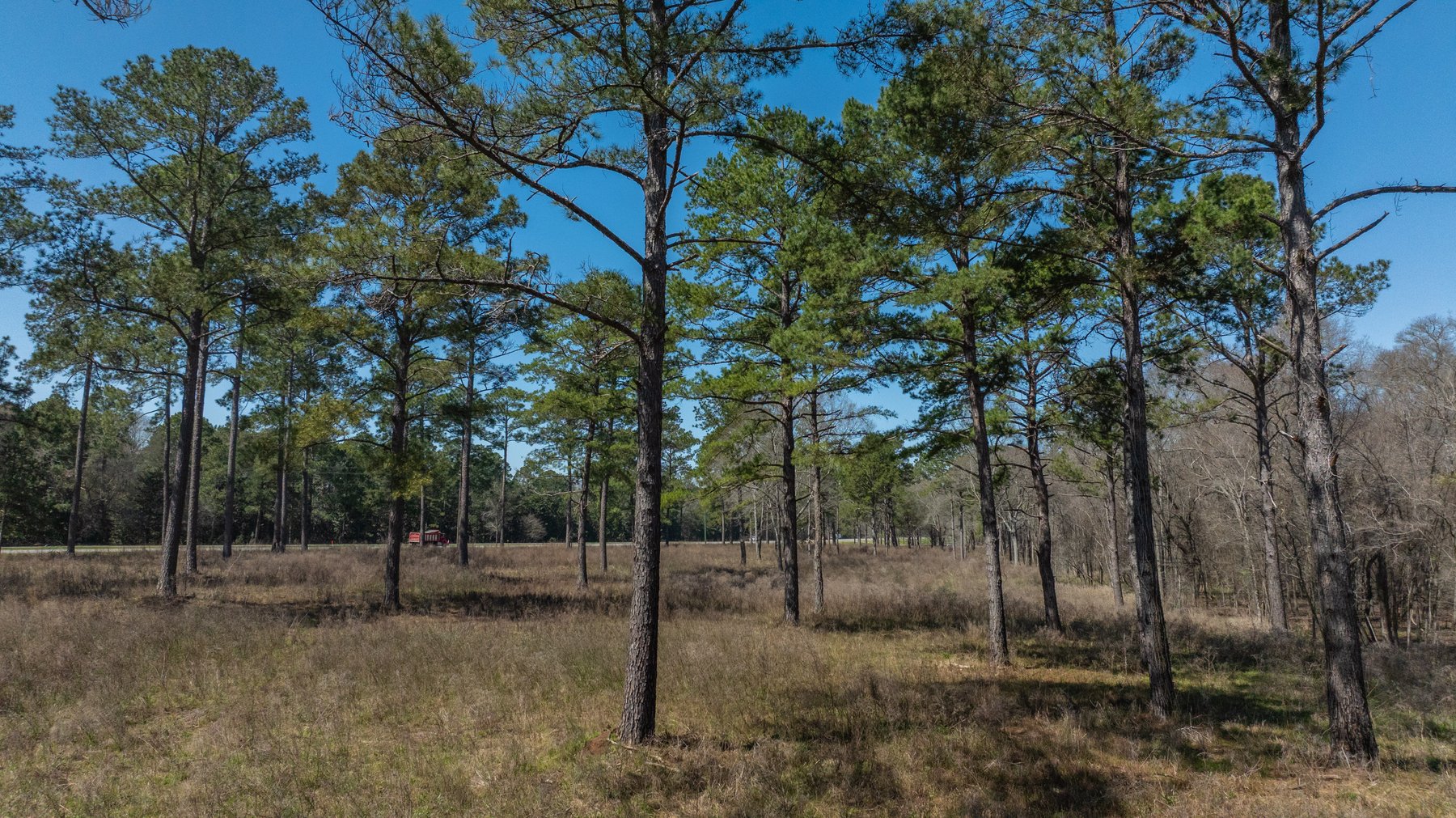 Image for 48.40+/- Acres - Oakland Plantation Commercial Acreage