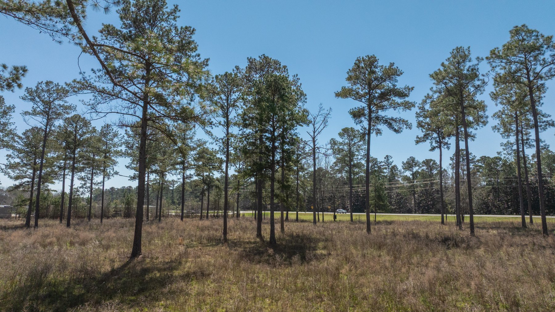 Image for 48.40+/- Acres - Oakland Plantation Commercial Acreage