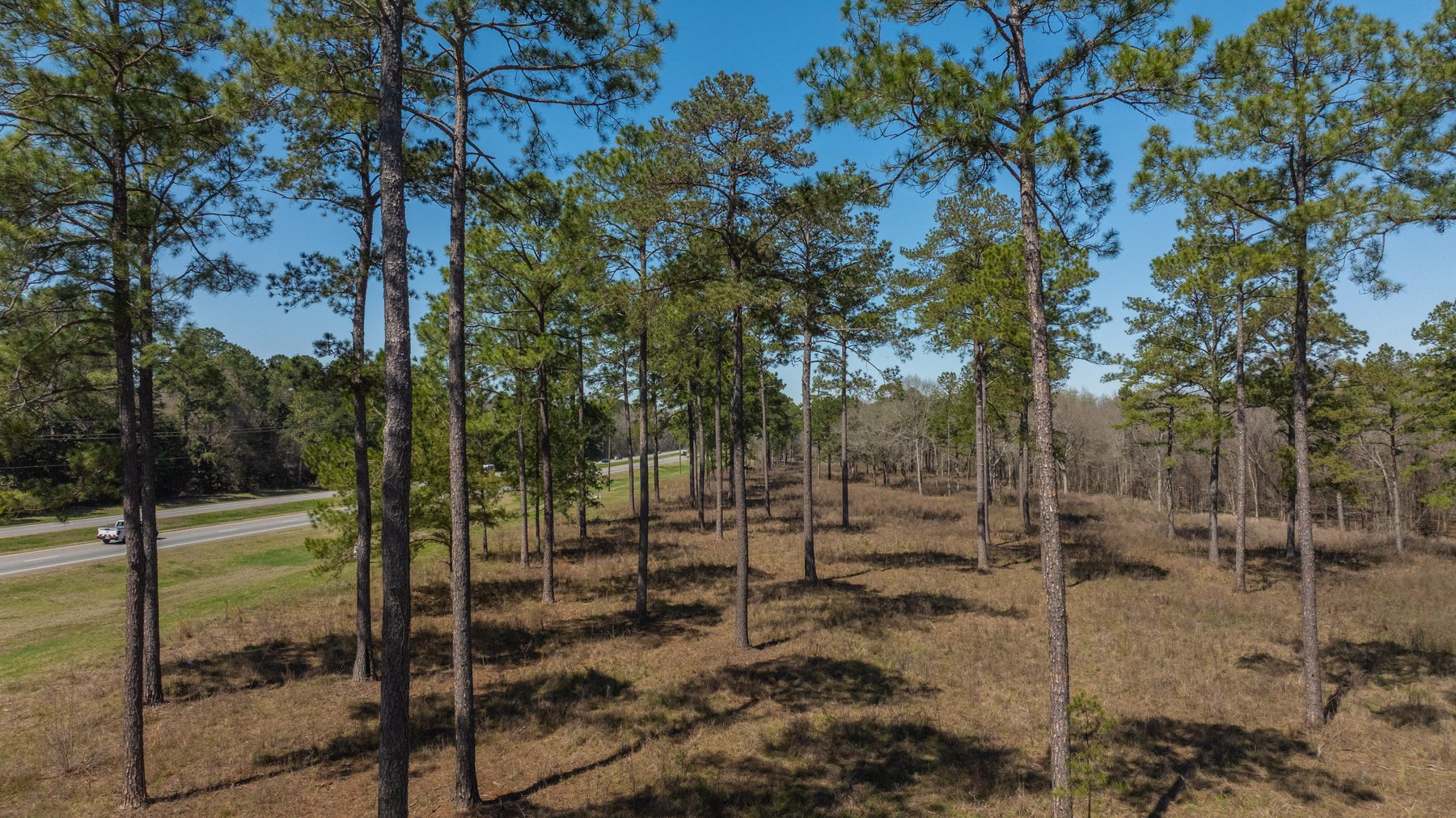 Image for 48.40+/- Acres - Oakland Plantation Commercial Acreage
