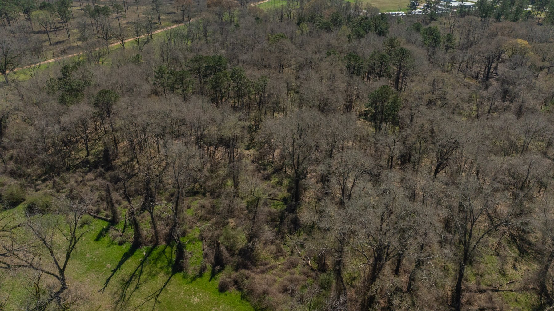 Image for 48.40+/- Acres - Oakland Plantation Commercial Acreage