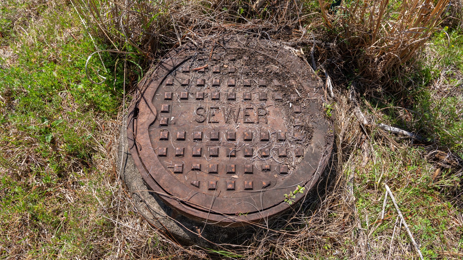 Image for 48.40+/- Acres - Oakland Plantation Commercial Acreage