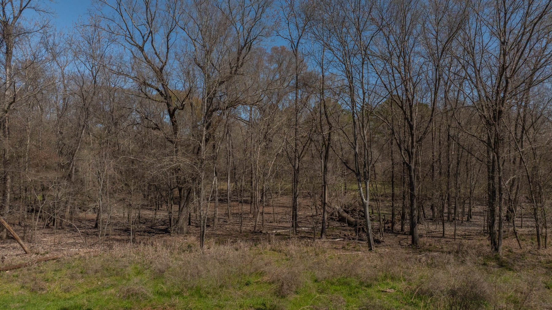 Image for 48.40+/- Acres - Oakland Plantation Commercial Acreage