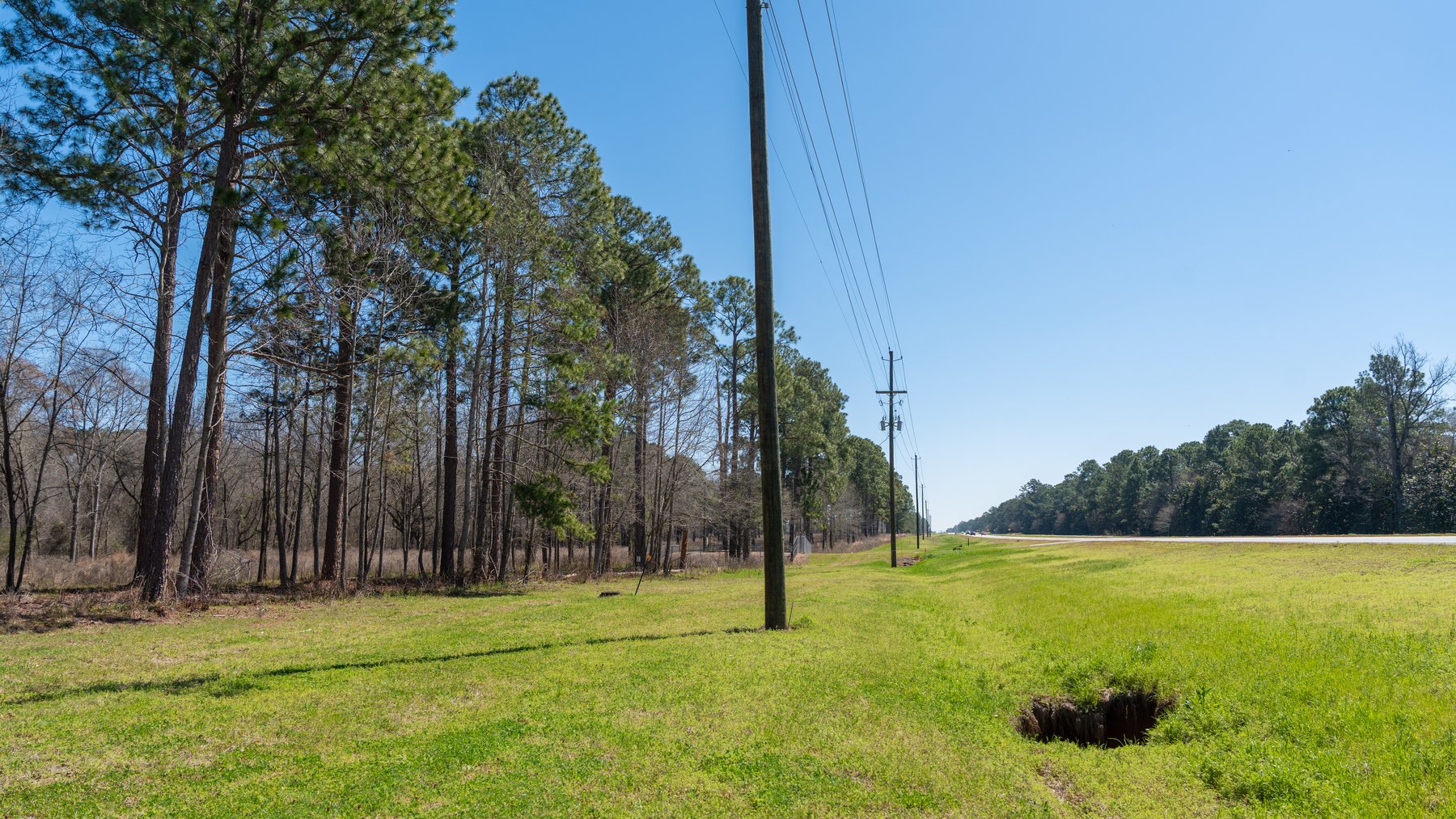 Image for 48.40+/- Acres - Oakland Plantation Commercial Acreage