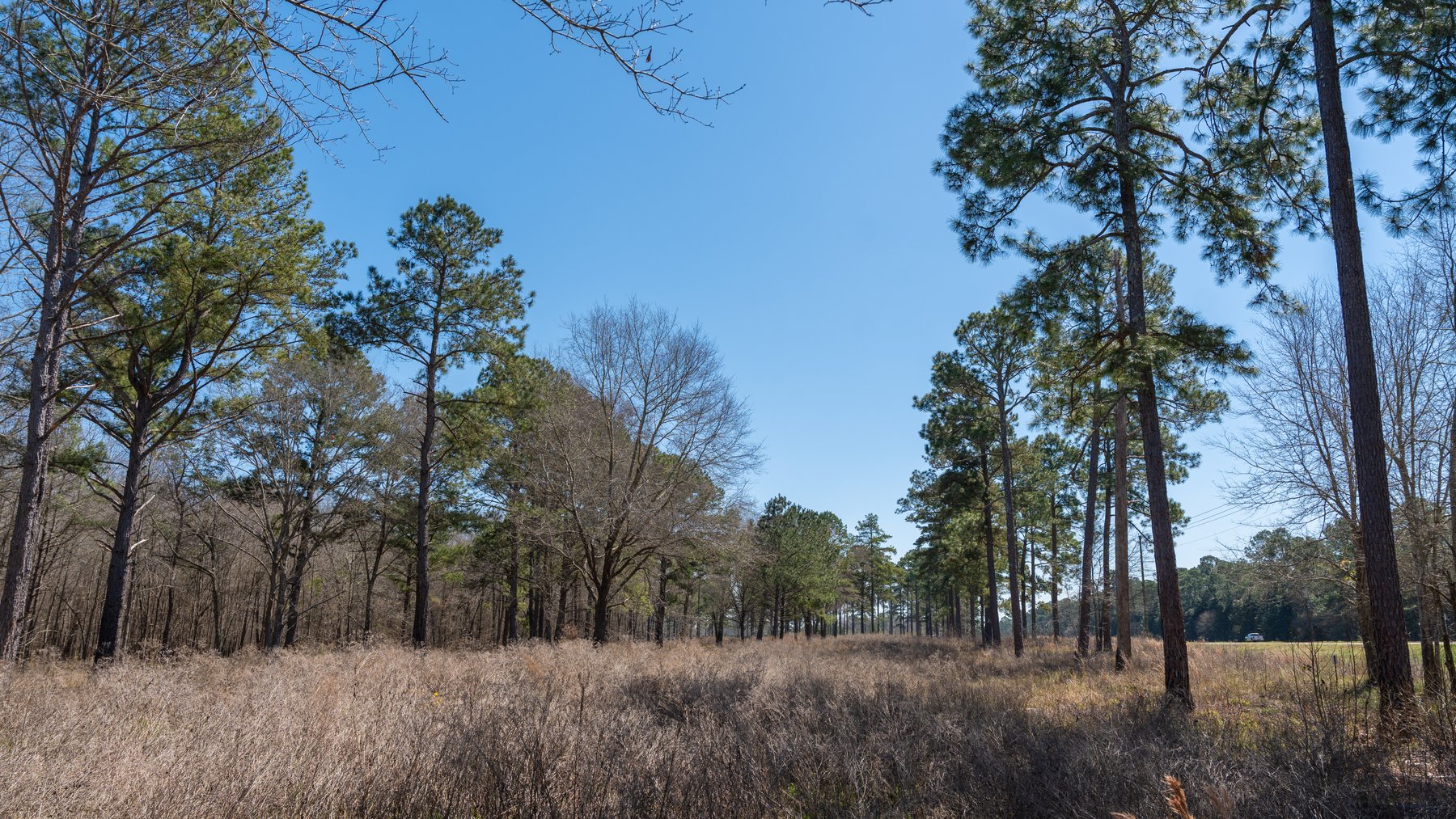 Image for 48.40+/- Acres - Oakland Plantation Commercial Acreage