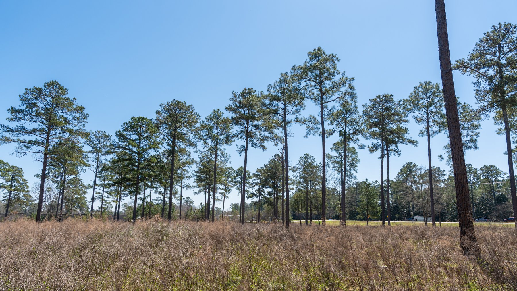 Image for 48.40+/- Acres - Oakland Plantation Commercial Acreage