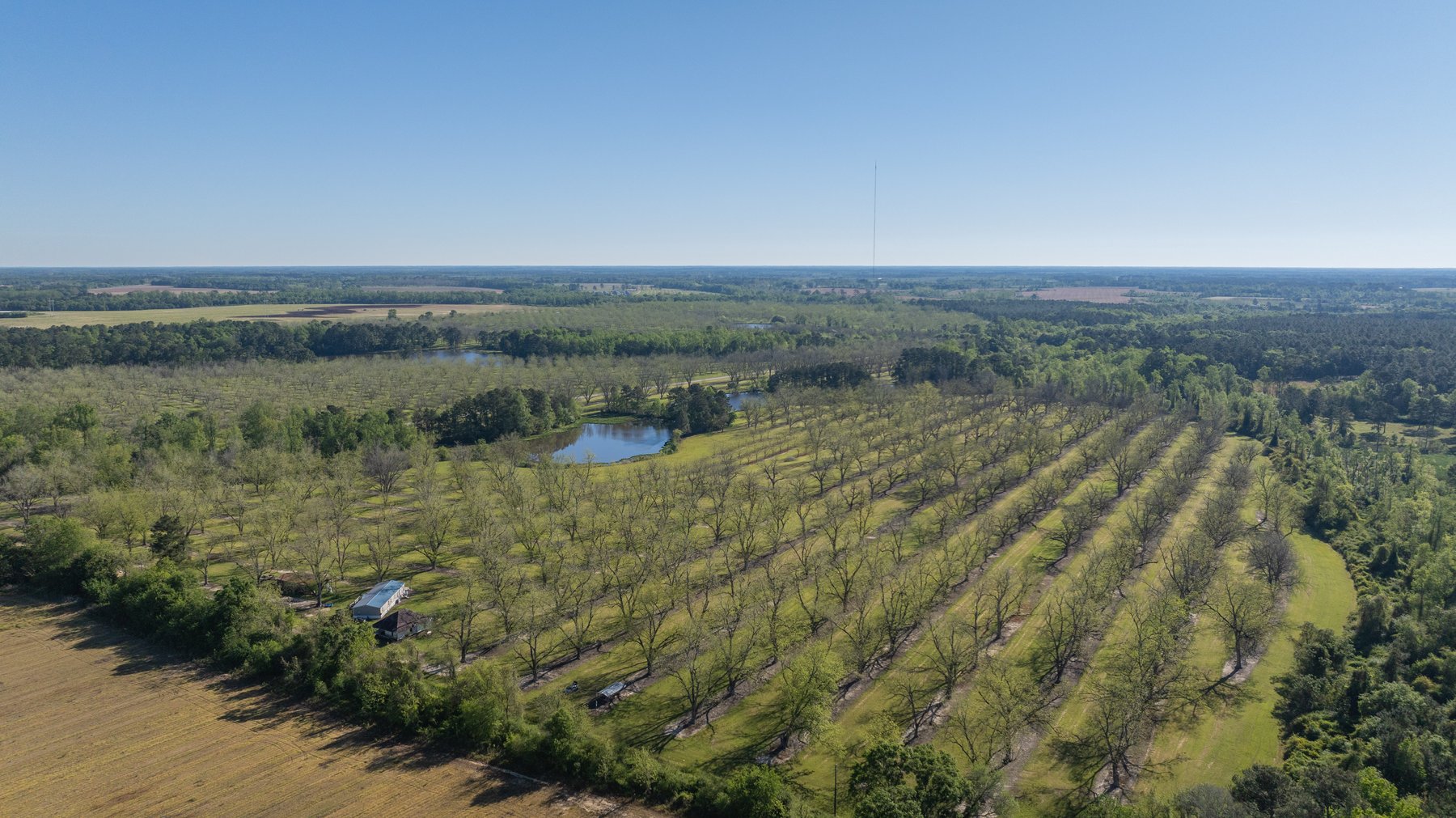 Image for 103+/- Acres - The Hand Tract