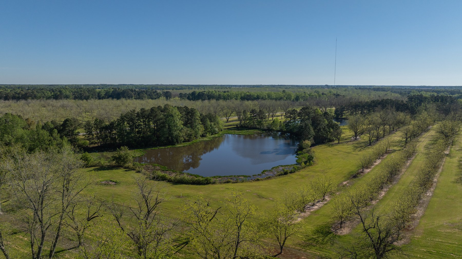 Image for 103+/- Acres - The Hand Tract