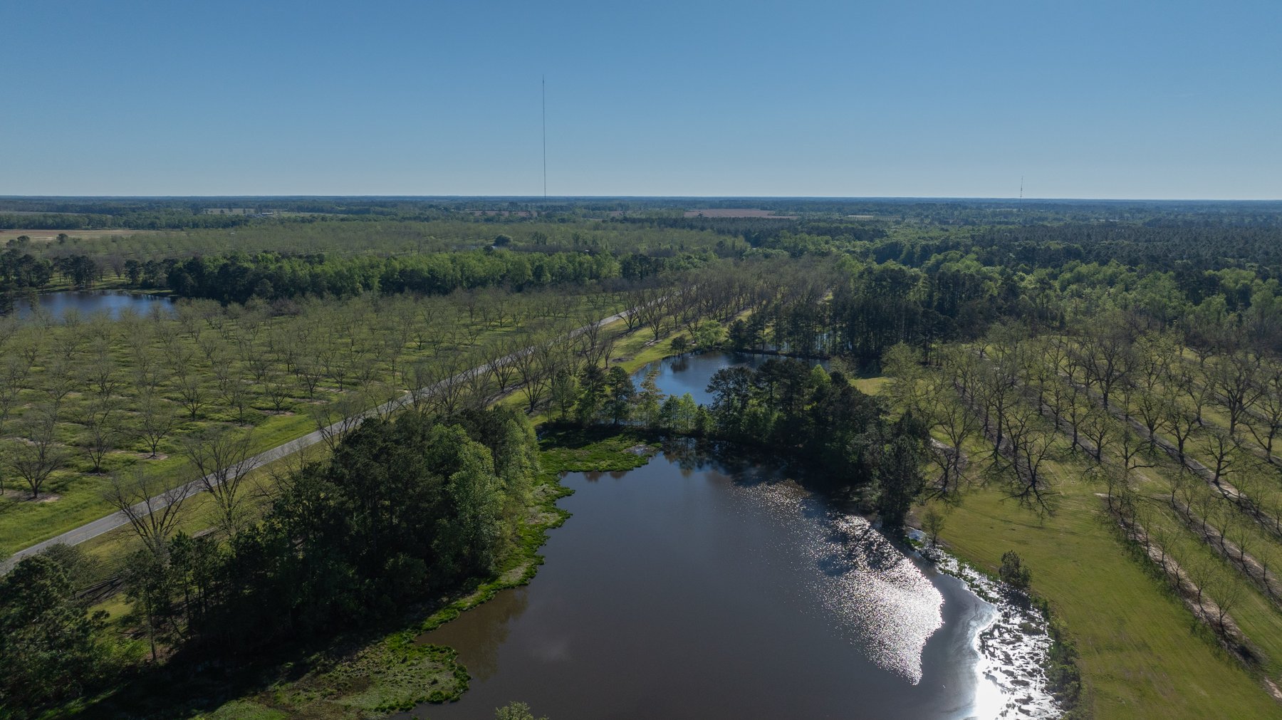 Image for 103+/- Acres - The Hand Tract