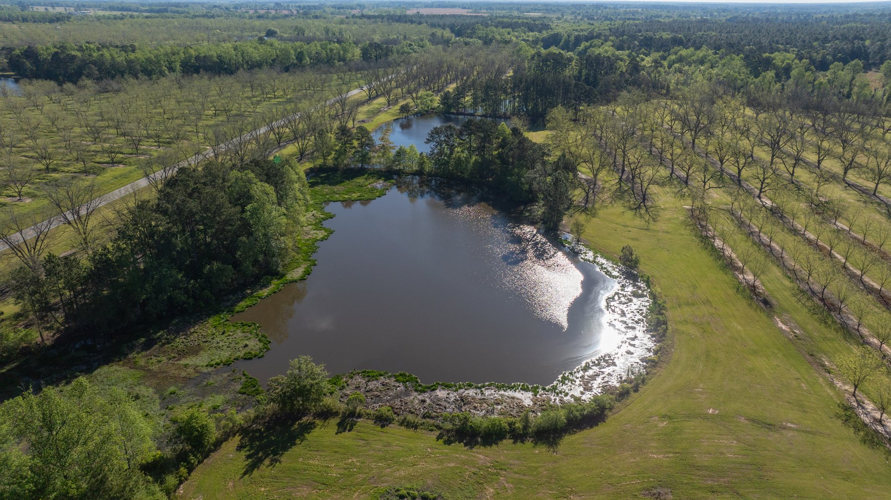 Image for 103+/- Acres - The Hand Tract