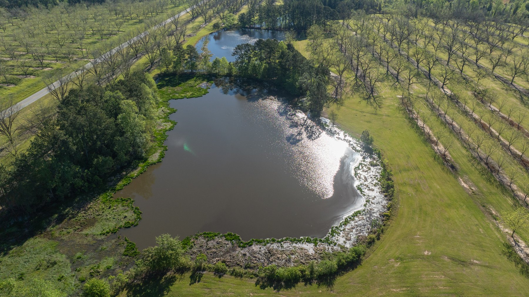 Image for 103+/- Acres - The Hand Tract