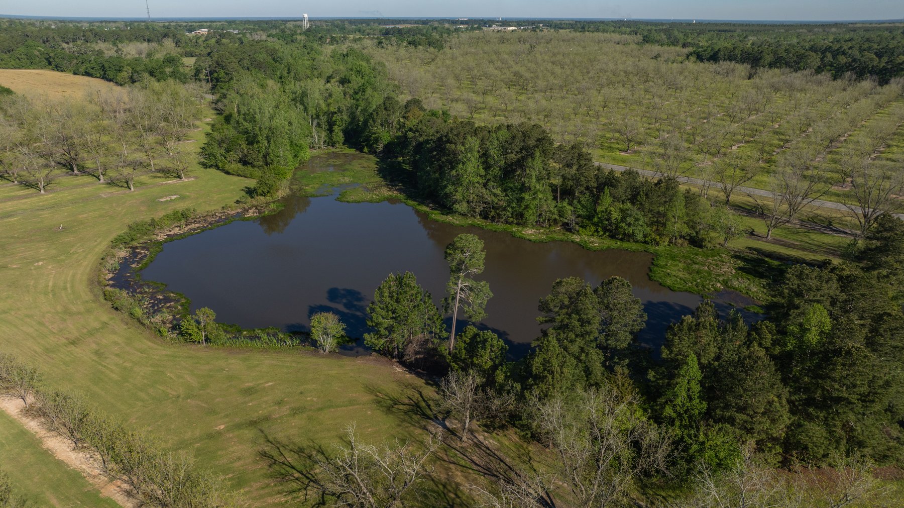 Image for 103+/- Acres - The Hand Tract