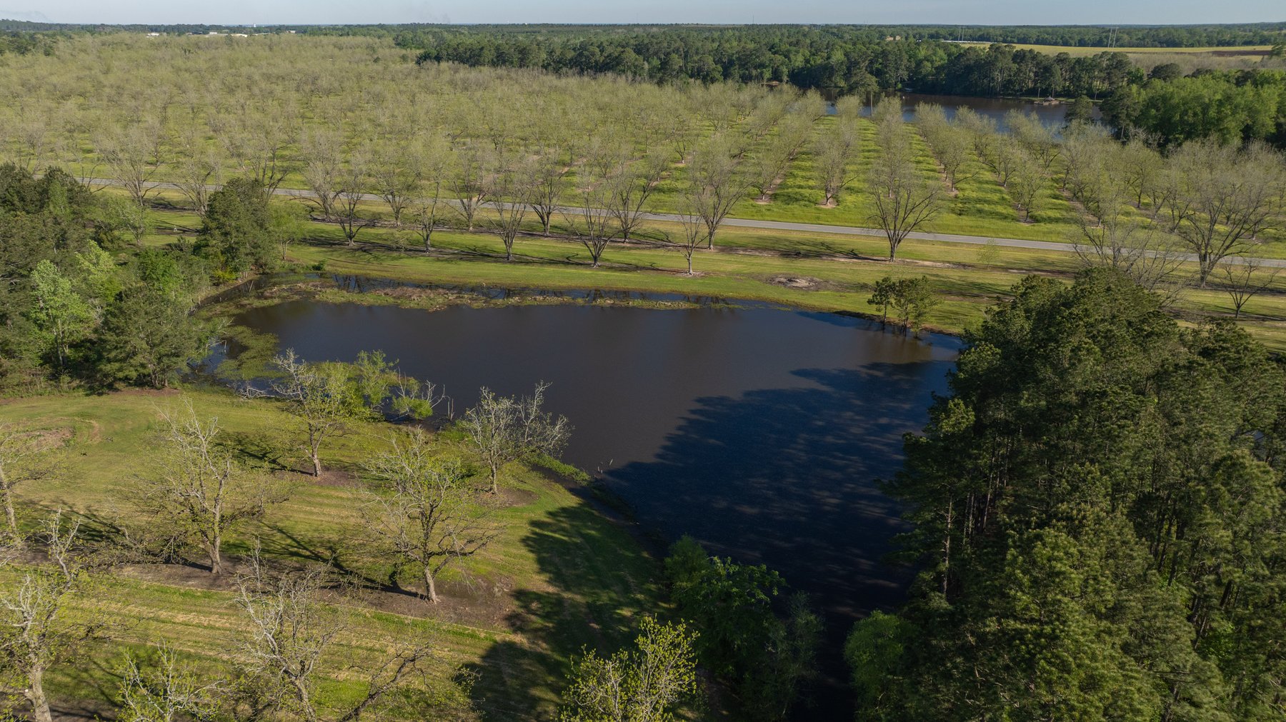 Image for 103+/- Acres - The Hand Tract