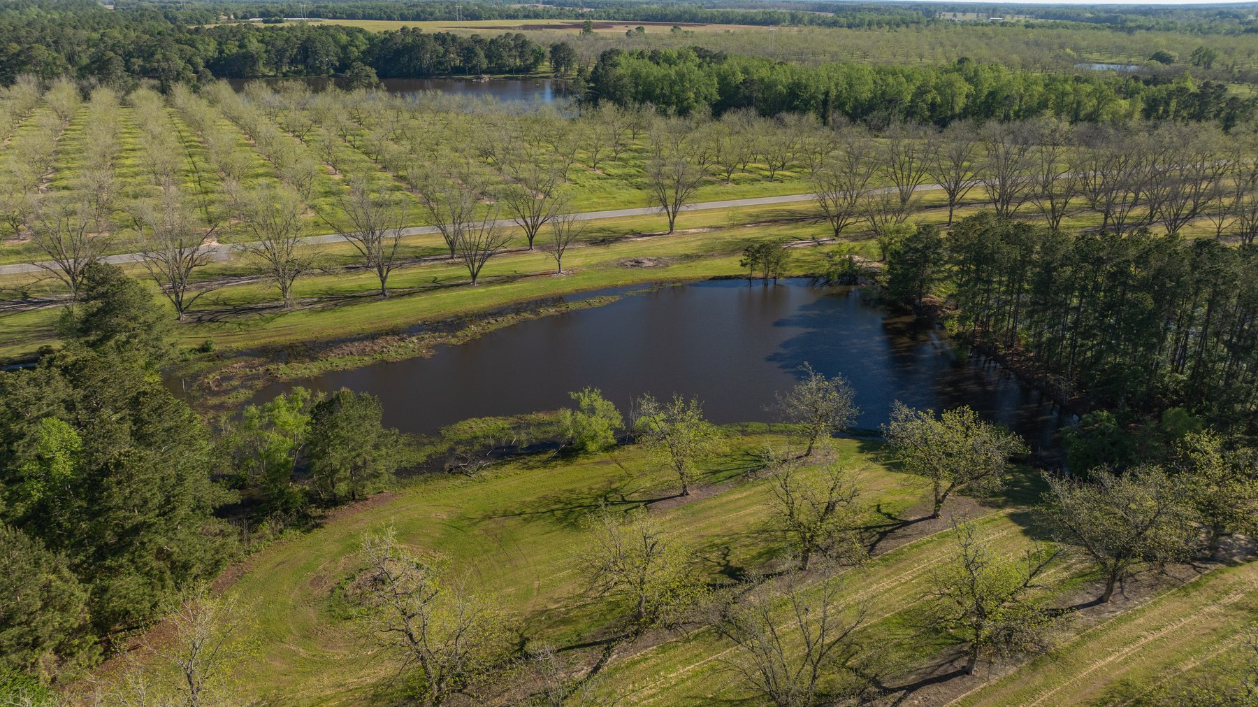 Image for 103+/- Acres - The Hand Tract