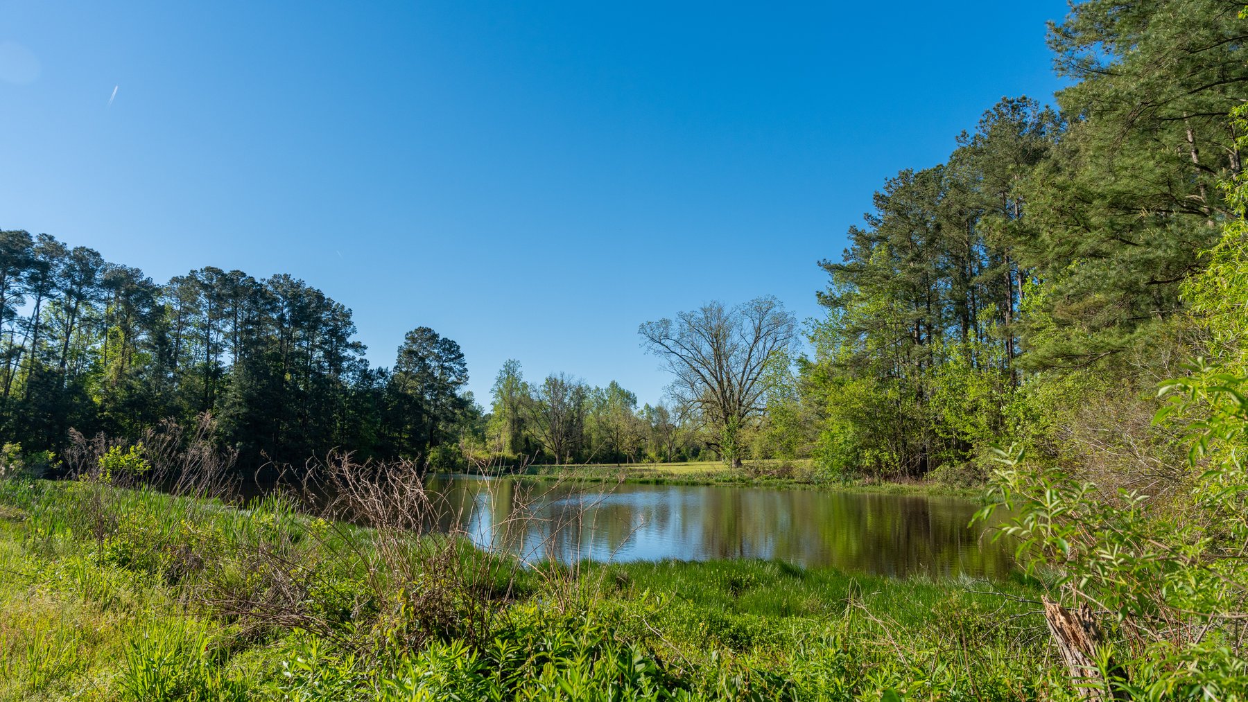 Image for 103+/- Acres - The Hand Tract