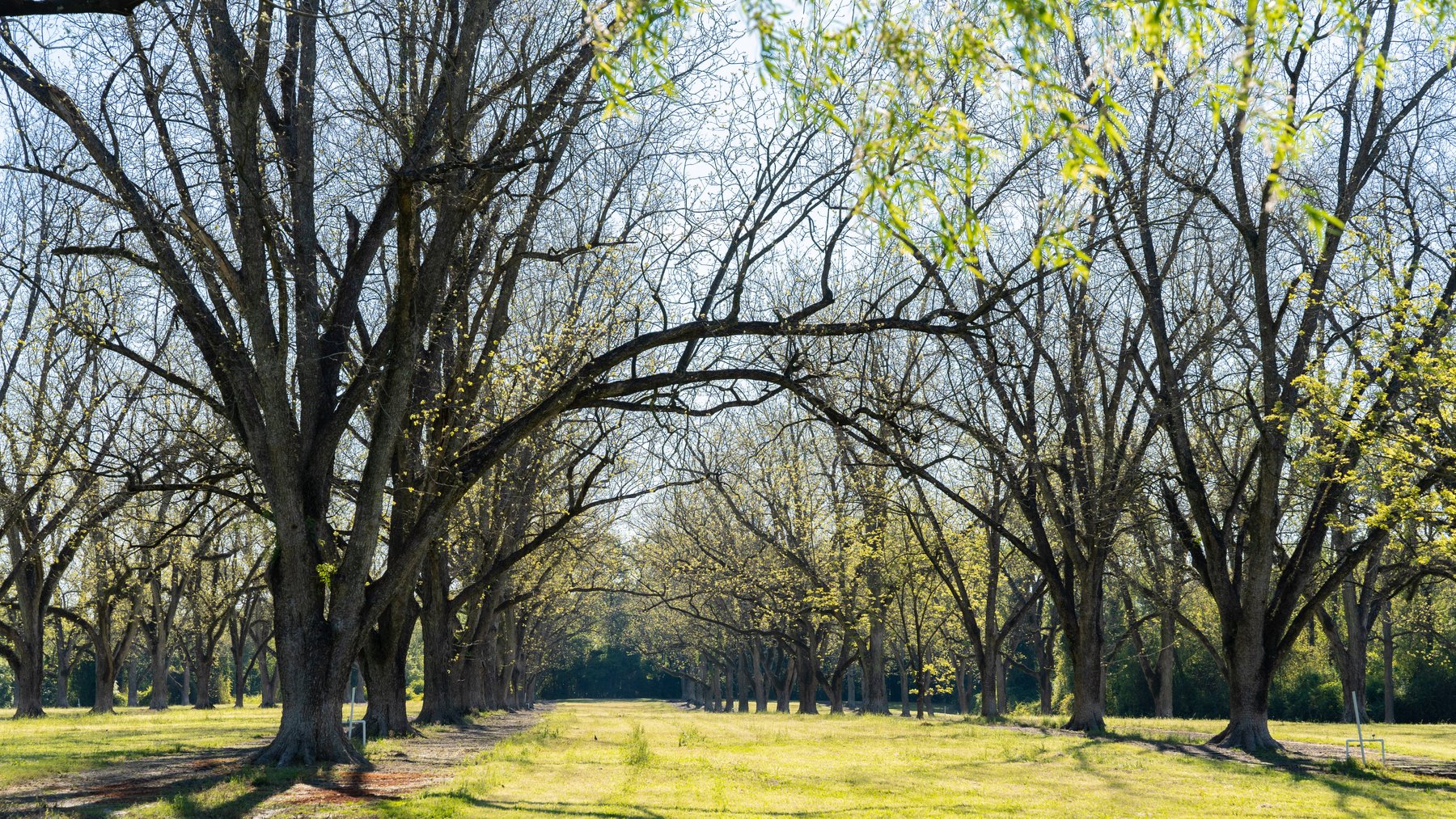 Image for 103+/- Acres - The Hand Tract