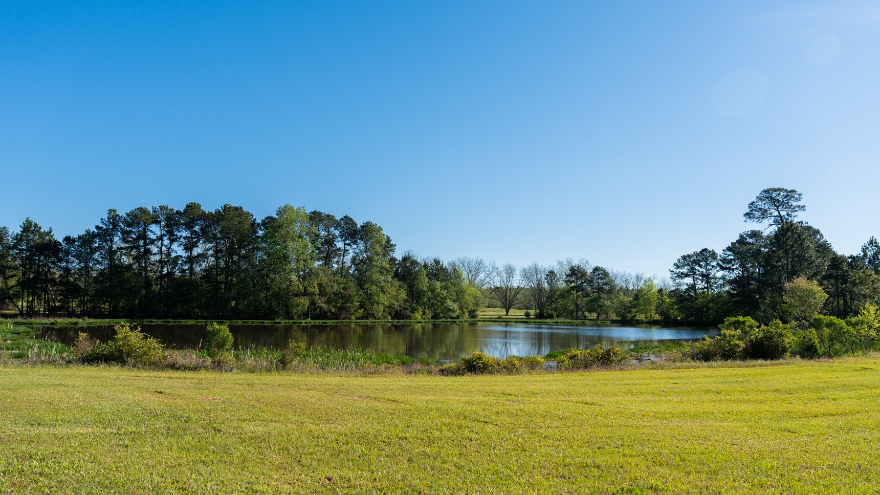 Image for 103+/- Acres - The Hand Tract