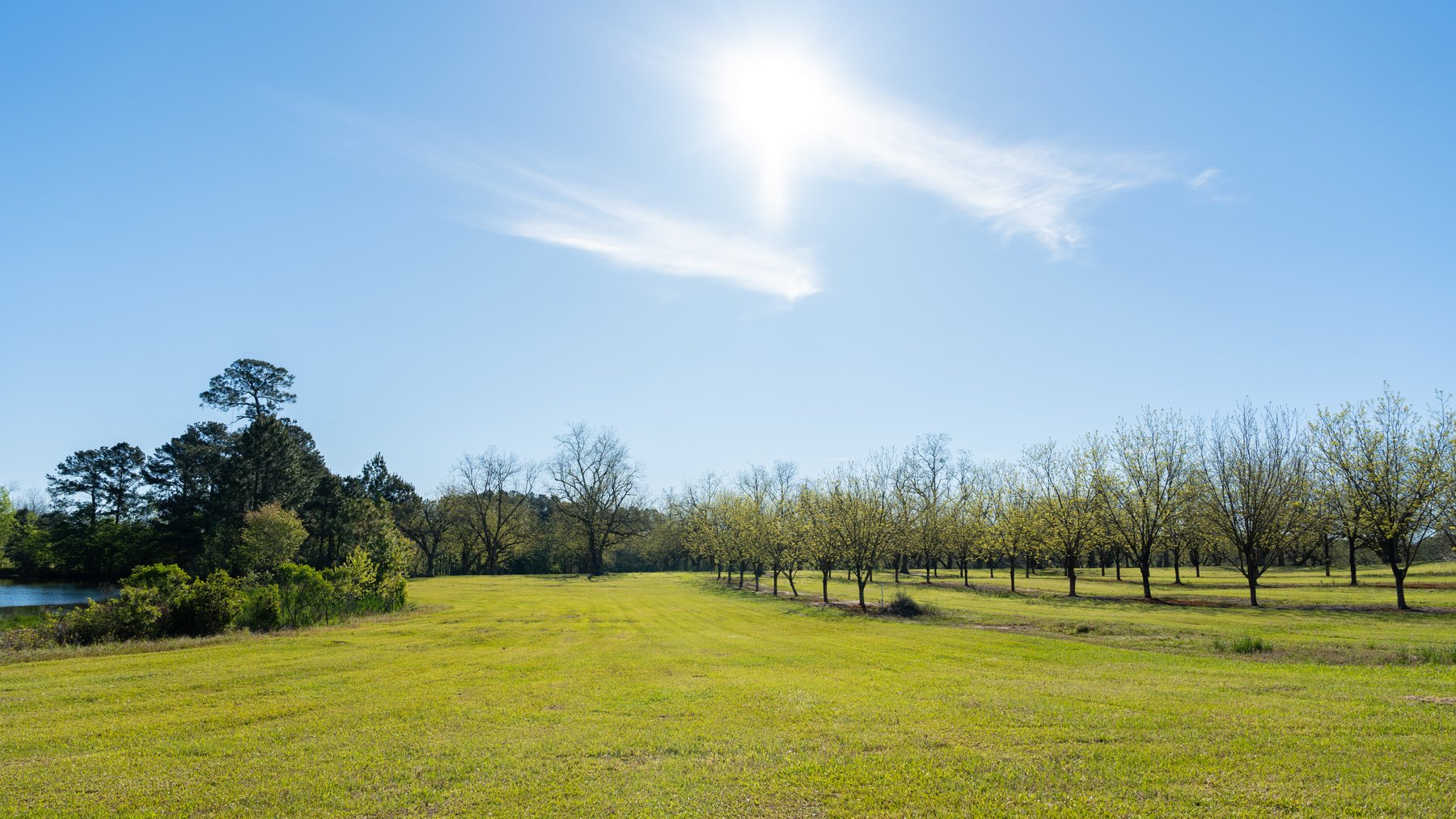 Image for 103+/- Acres - The Hand Tract