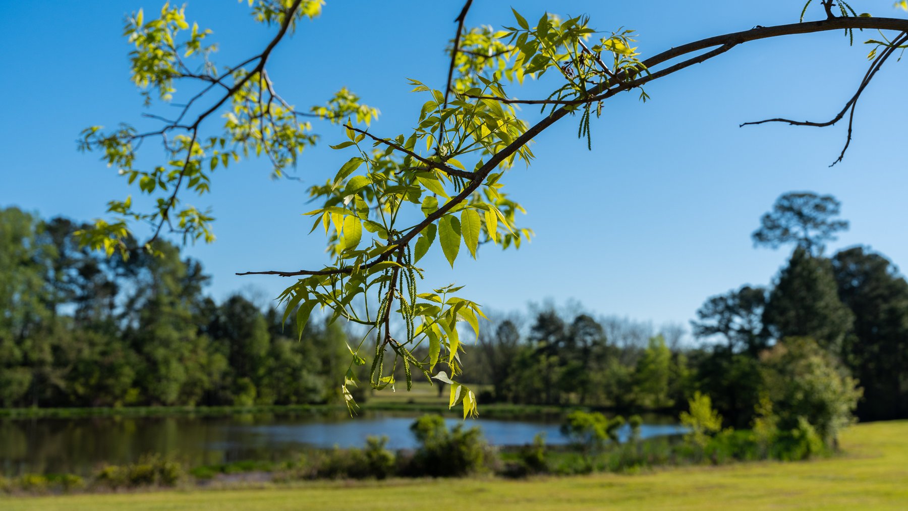 Image for 103+/- Acres - The Hand Tract