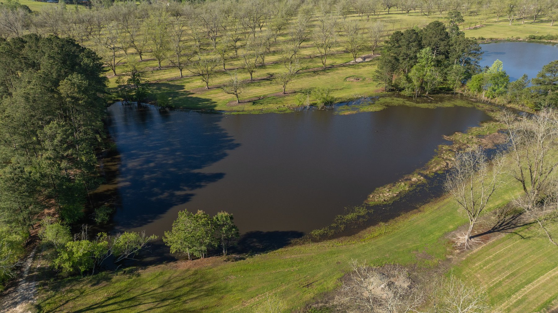 Image for 103+/- Acres - The Hand Tract