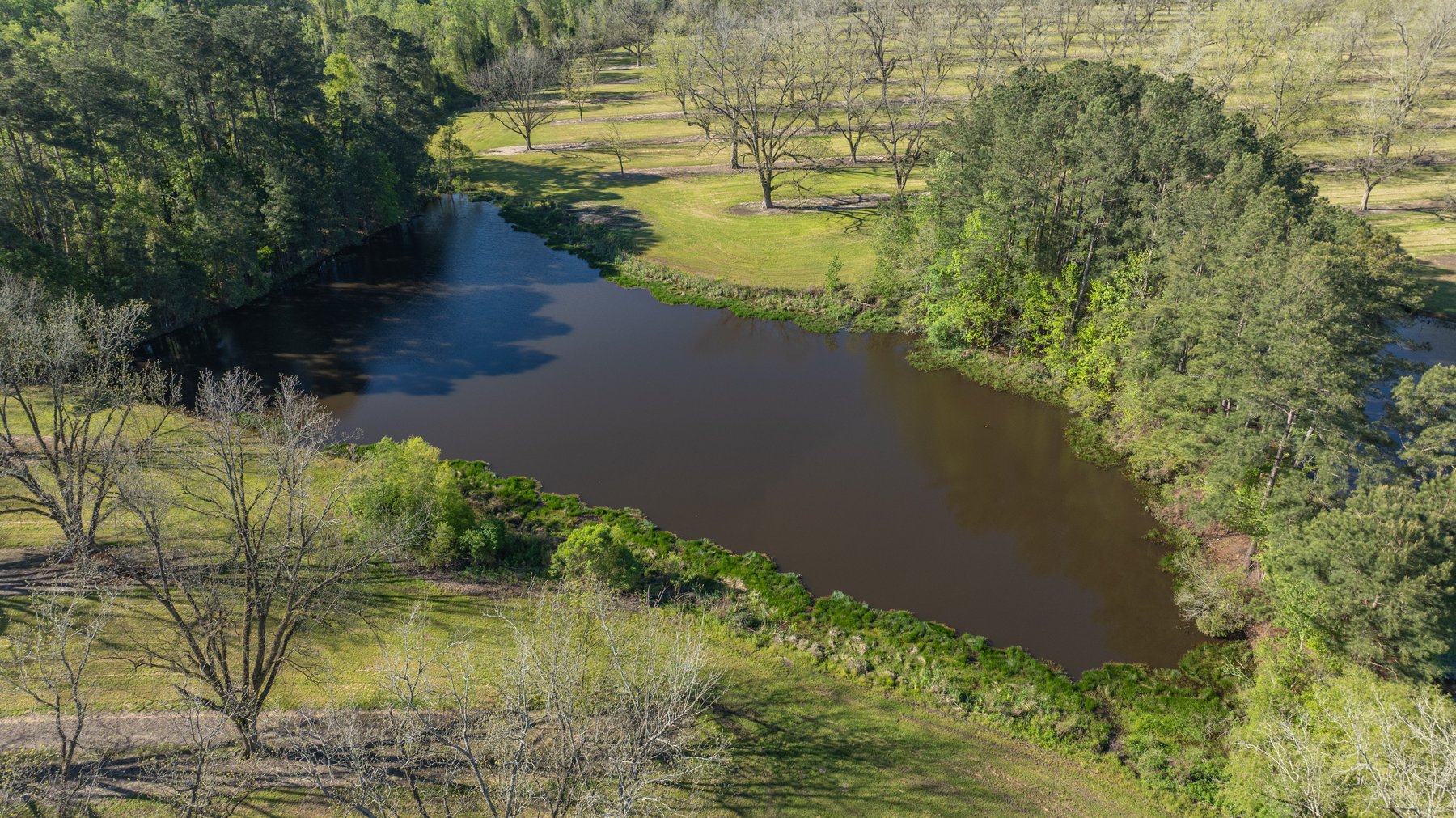 Image for 103+/- Acres - The Hand Tract