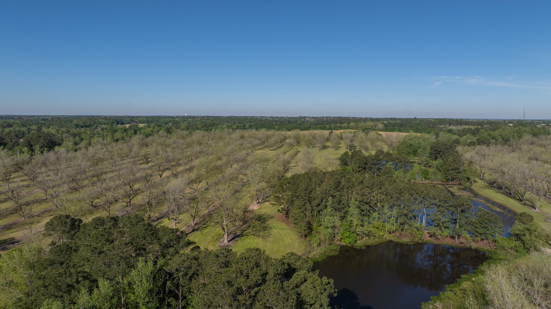 Image for 103+/- Acres - The Hand Tract