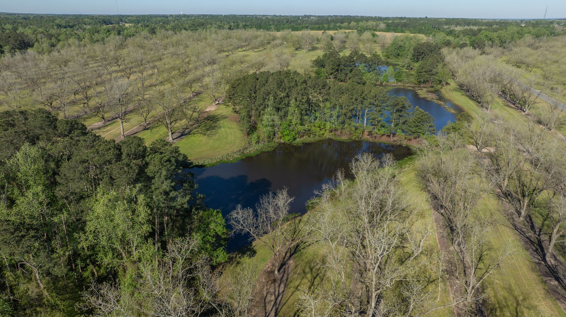 Image for 103+/- Acres - The Hand Tract