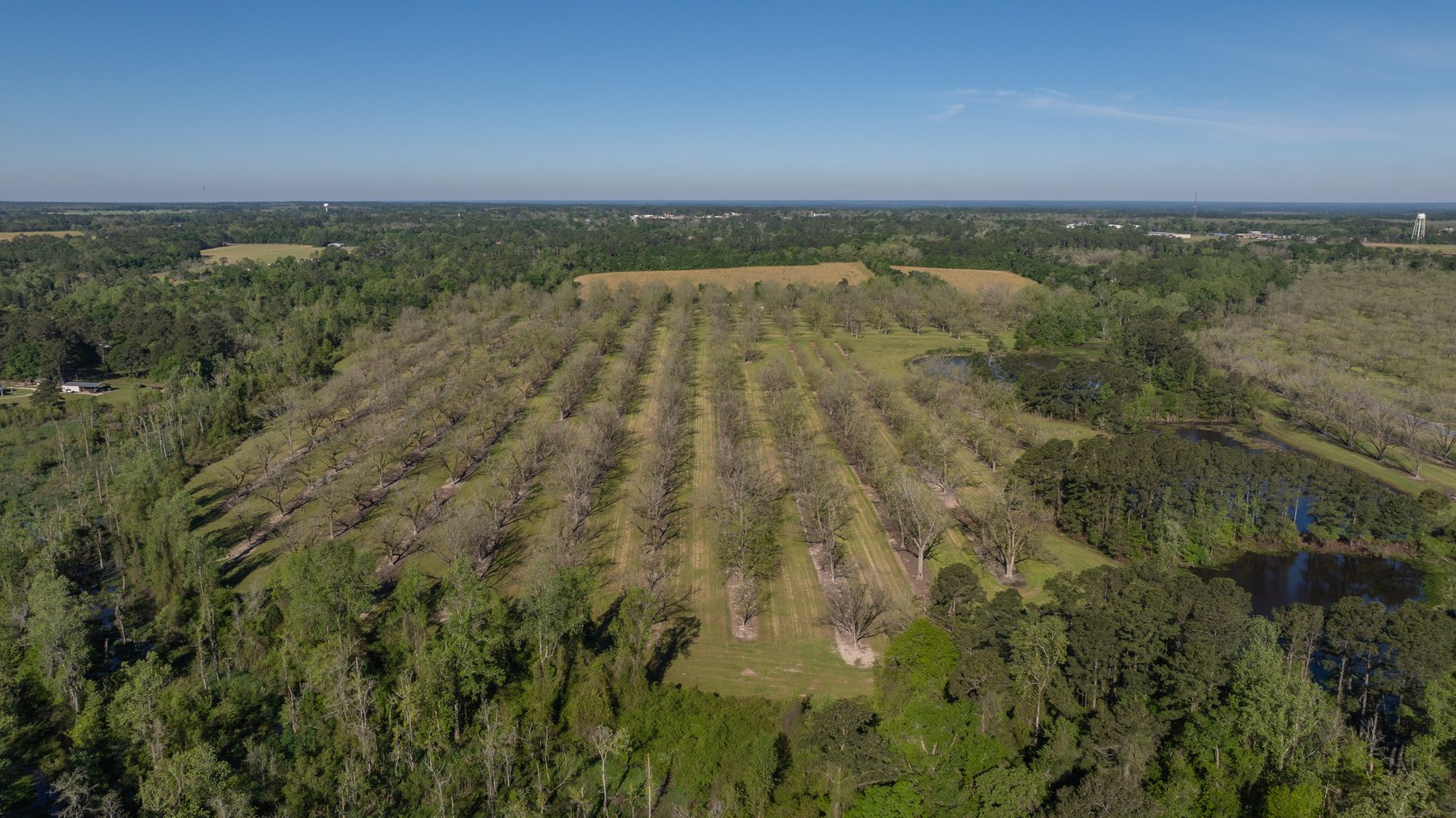 Image for 103+/- Acres - The Hand Tract