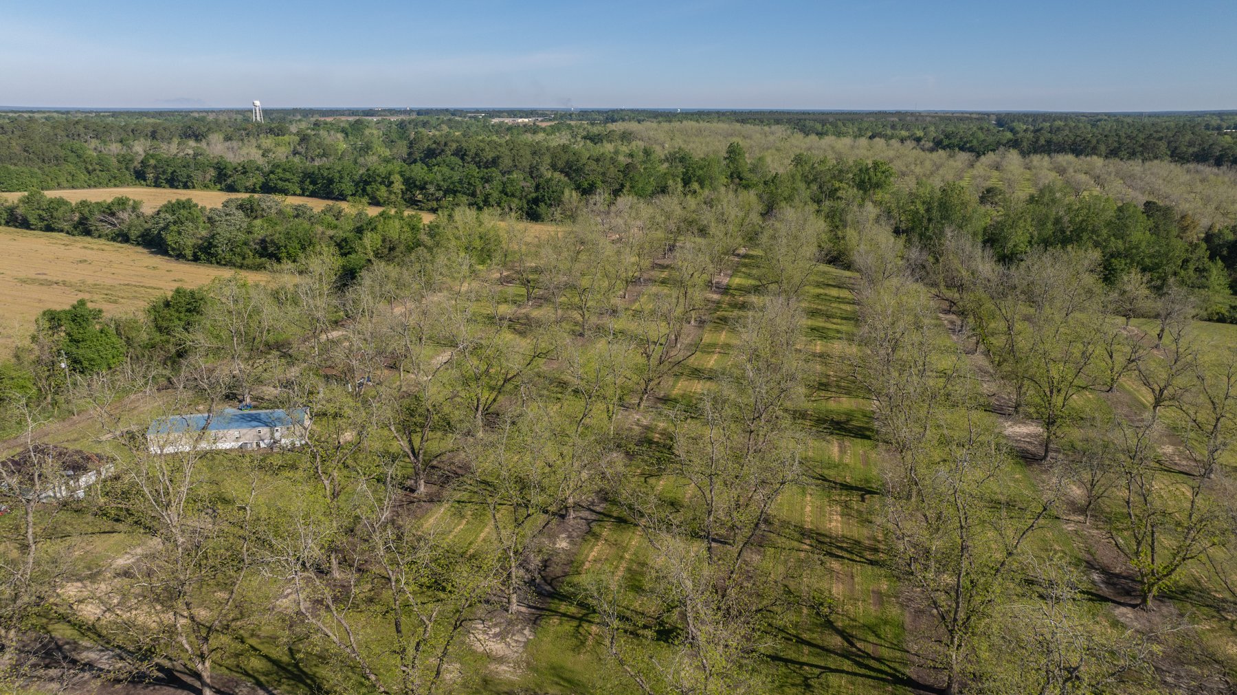 Image for 103+/- Acres - The Hand Tract