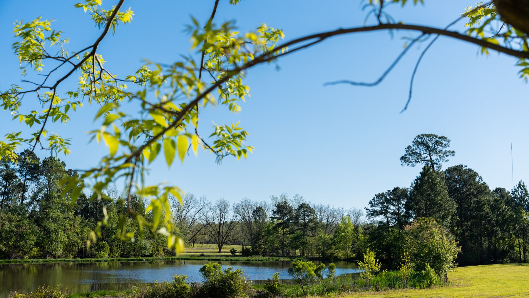 Image for 103+/- Acres - The Hand Tract