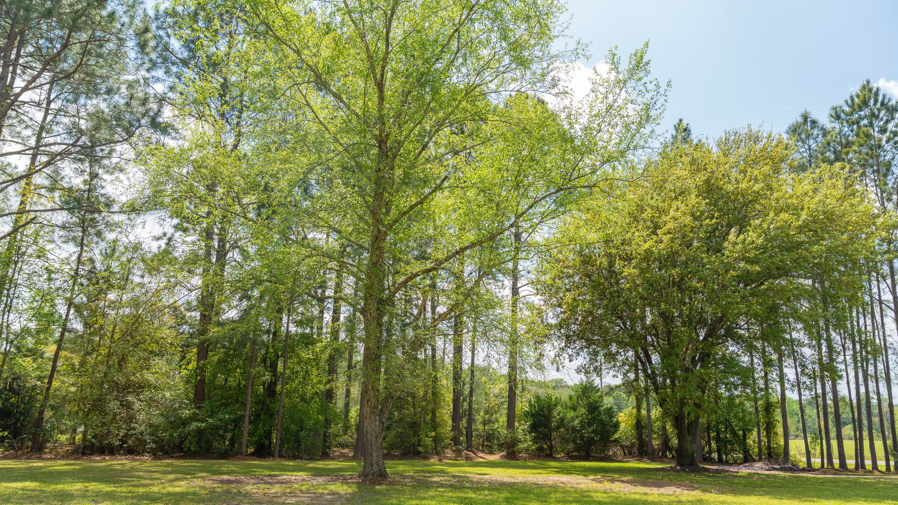 Image for Charming Country Home on 1.3+/- Acres in Tift County, Georgia