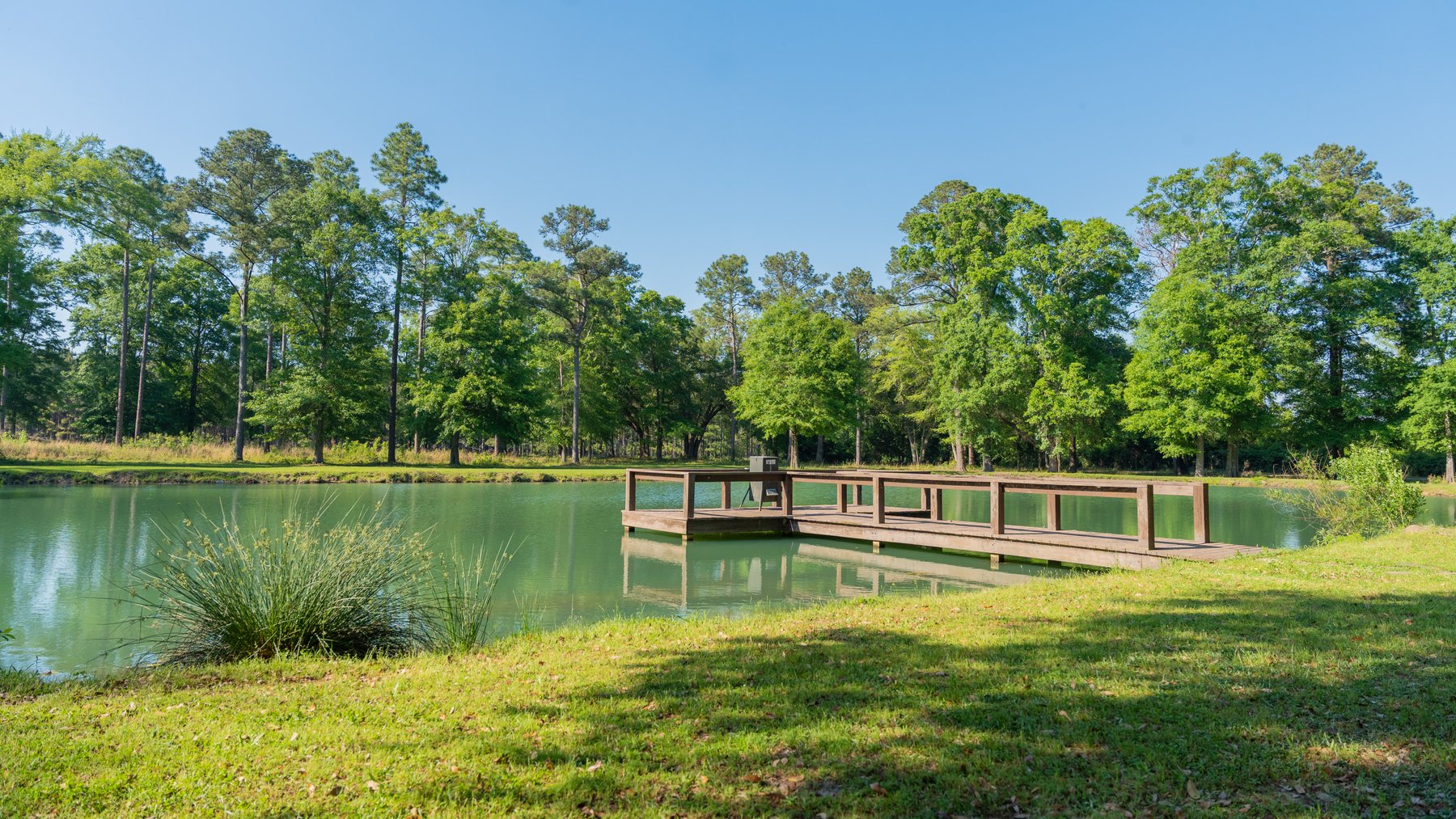 Image for 1,326 +/- Acres – Quail Crest Farms - Custom Lodge w/ Irrigated Acreage - Recreational Investment Opportunity
