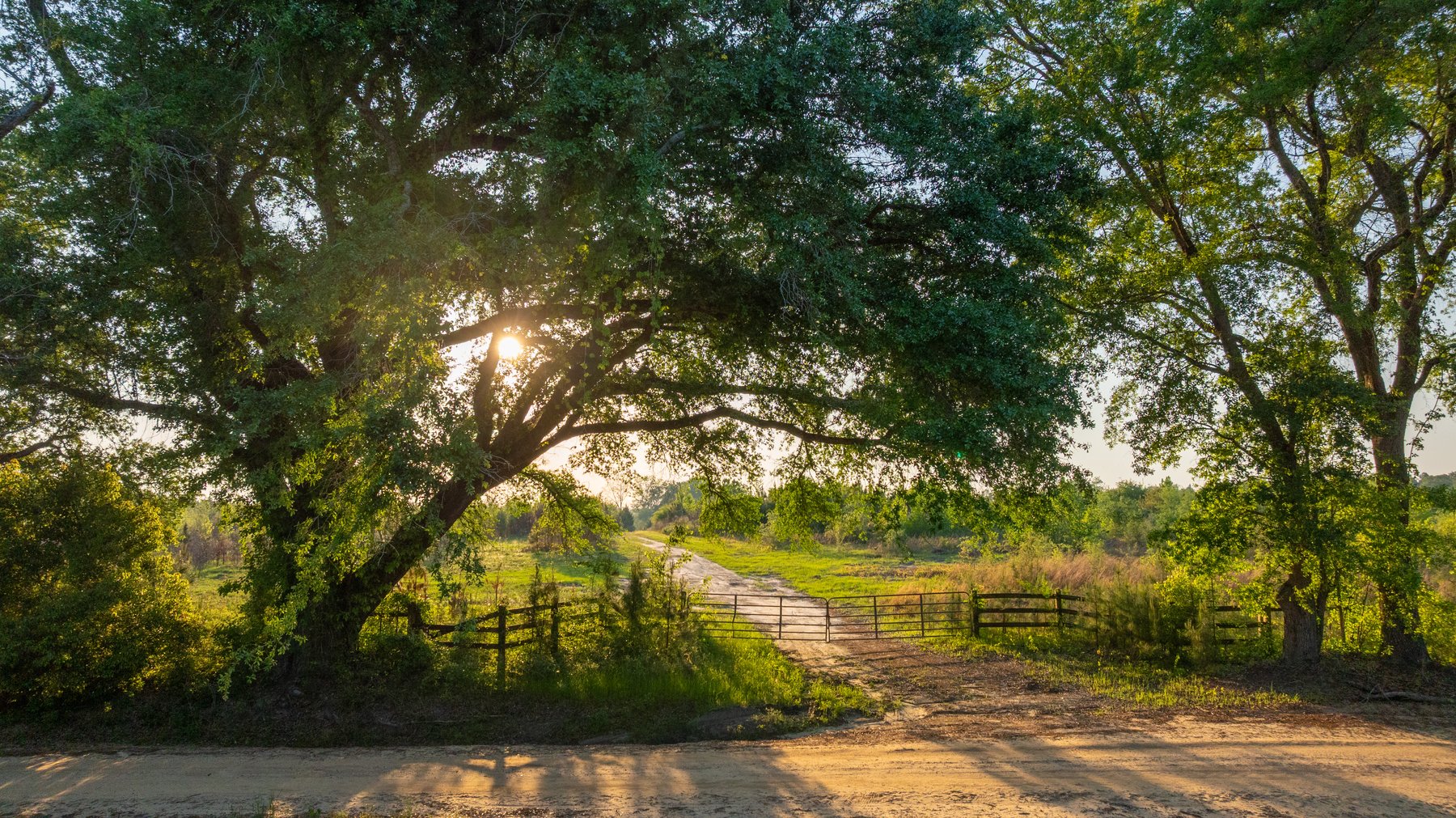 Image for 1,326 +/- Acres – Quail Crest Farms - Custom Lodge w/ Irrigated Acreage - Recreational Investment Opportunity