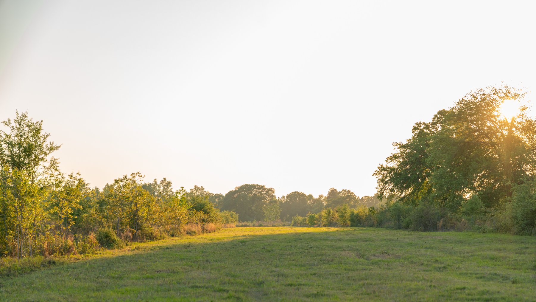 Image for 1,326 +/- Acres – Quail Crest Farms - Custom Lodge w/ Irrigated Acreage - Recreational Investment Opportunity