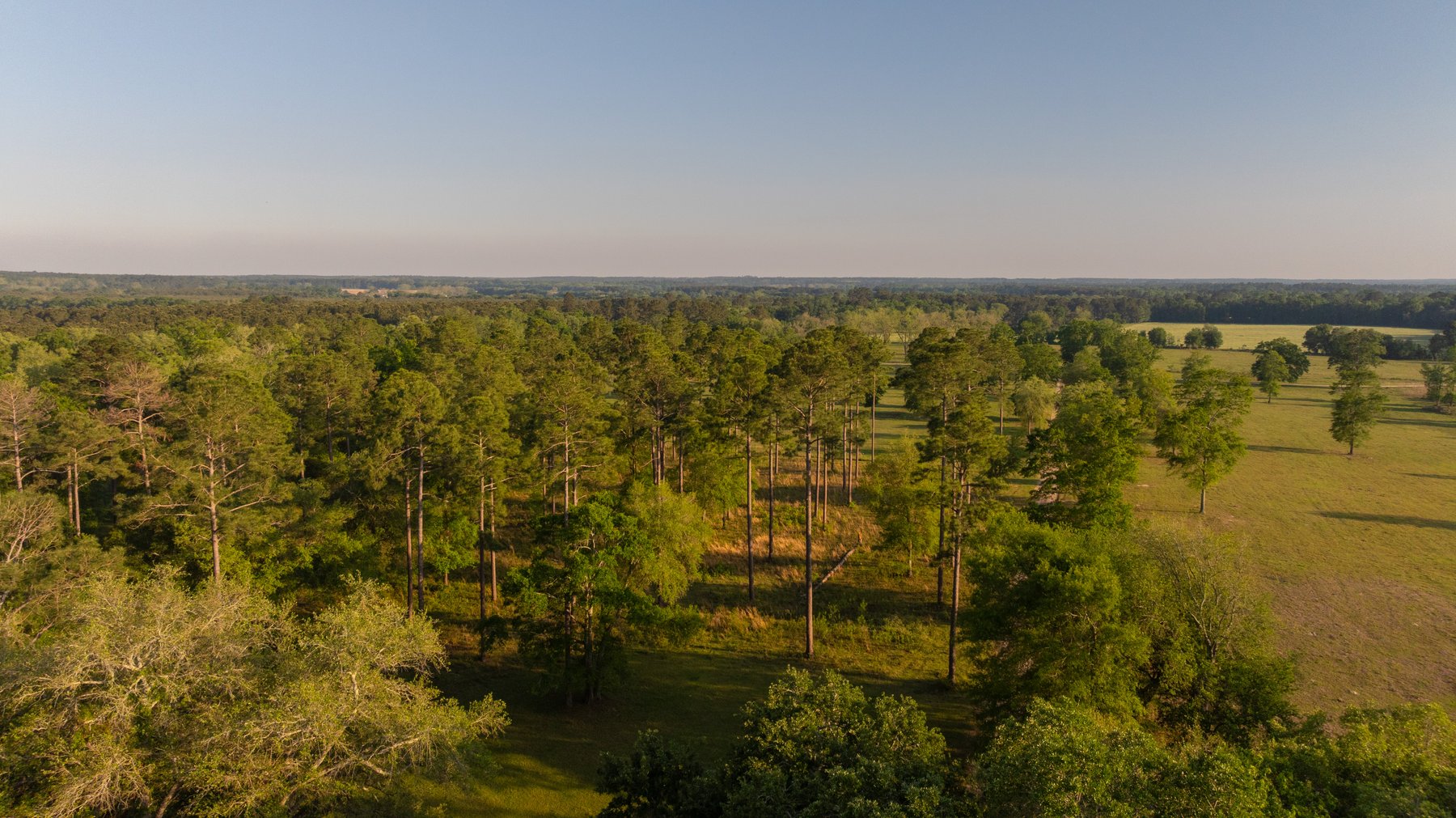 Image for 1,326 +/- Acres – Quail Crest Farms - Custom Lodge w/ Irrigated Acreage - Recreational Investment Opportunity