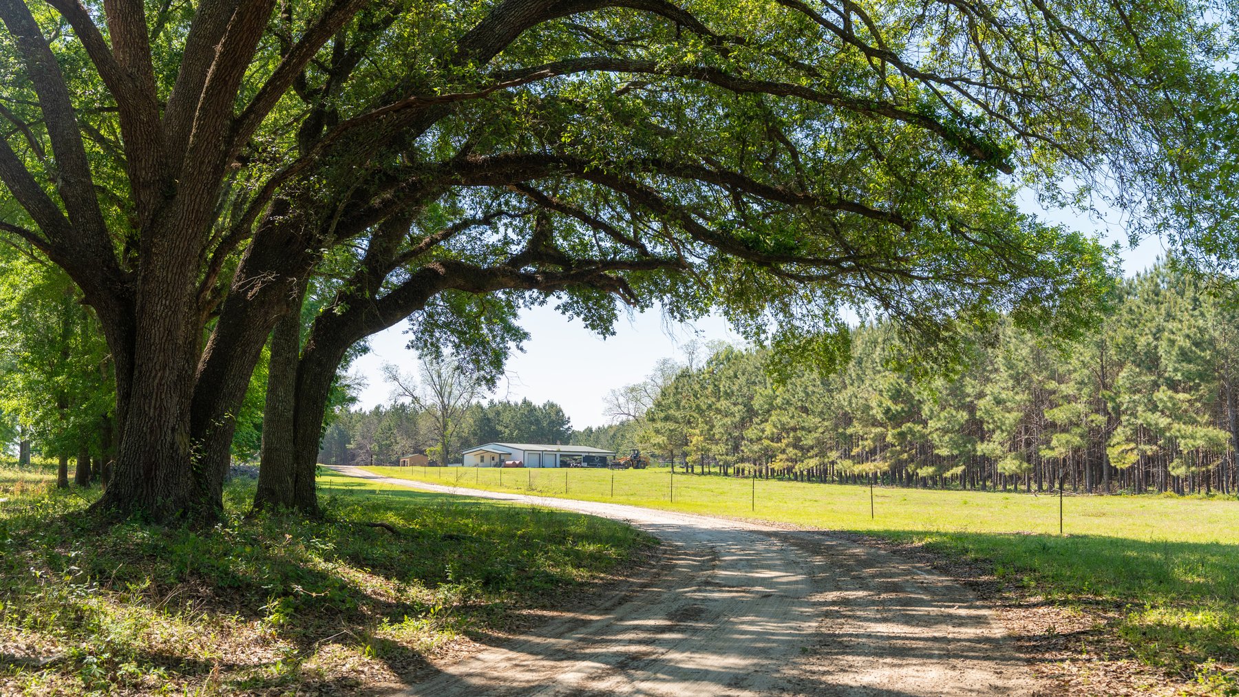 Image for 1,326 +/- Acres – Quail Crest Farms - Custom Lodge w/ Irrigated Acreage - Recreational Investment Opportunity